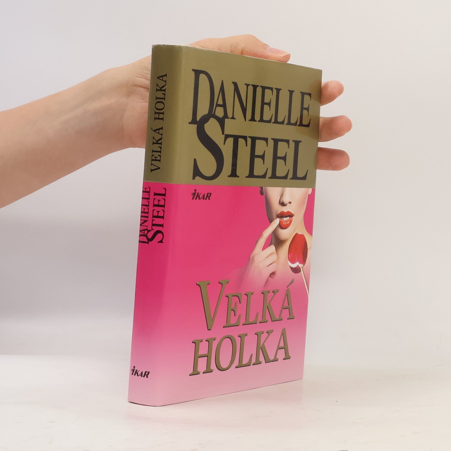 Danielle Steel Velká holka