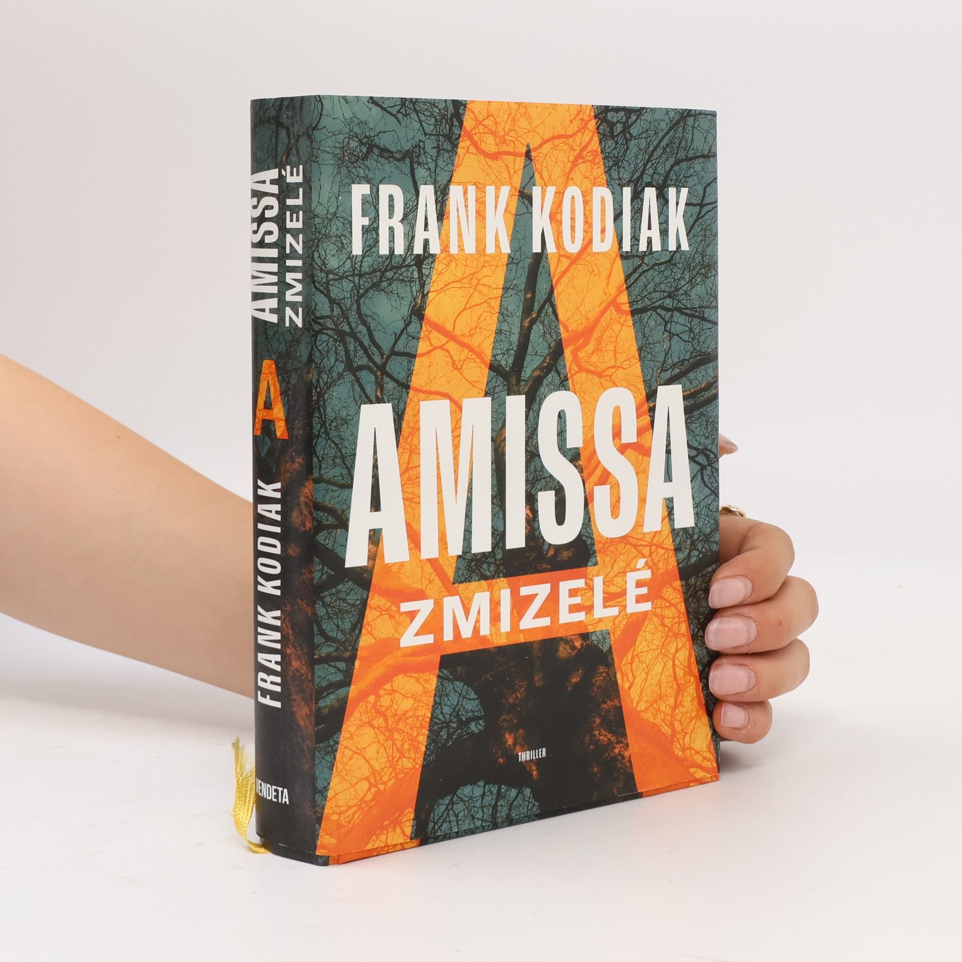 Hendrik Winter Amissa. Zmizelé