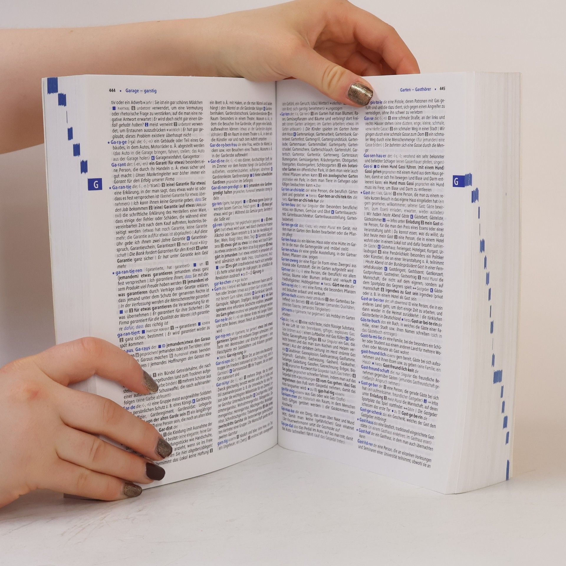 Dieter Götz Langenscheidt Großwörterbuch Deutsch als Fremdsprache