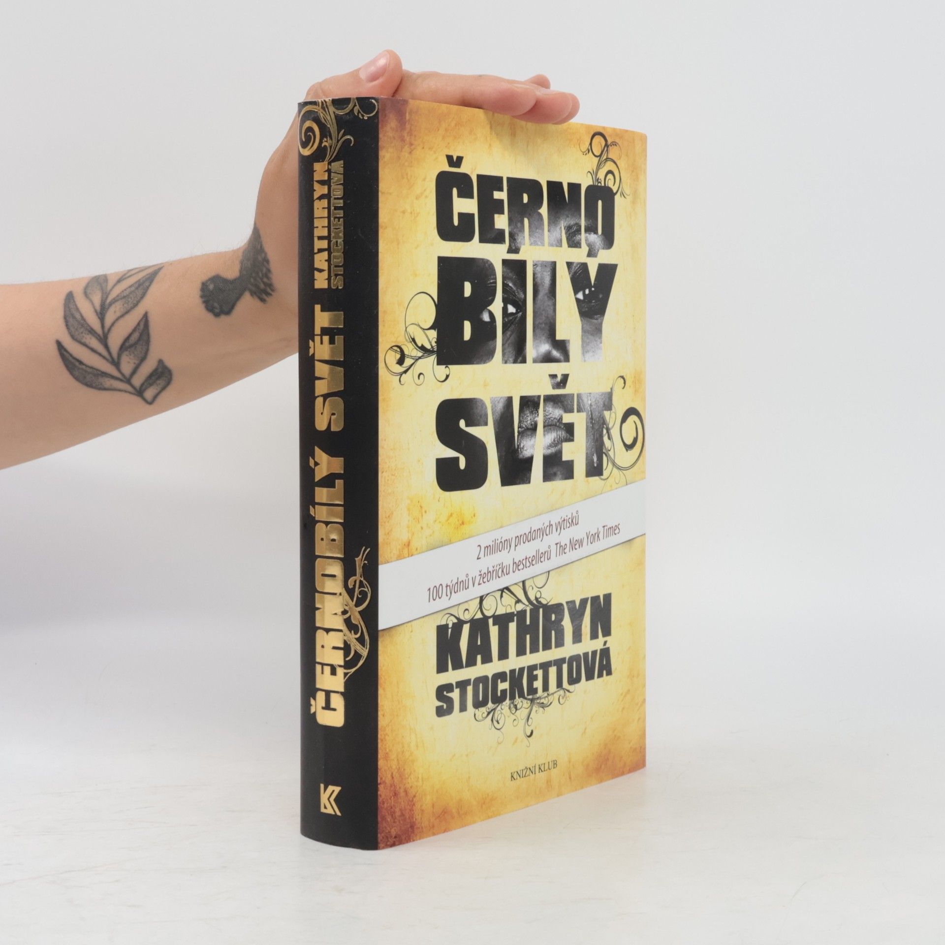 Kathryn Stockett Černobílý svět