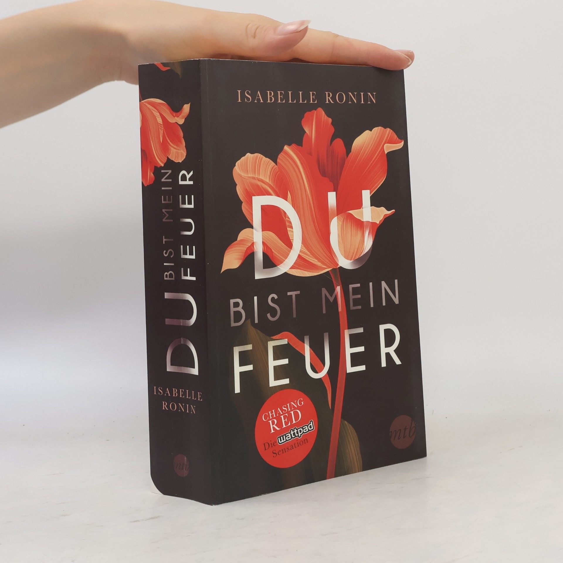 Isabelle Ronin Du bist mein Feuer