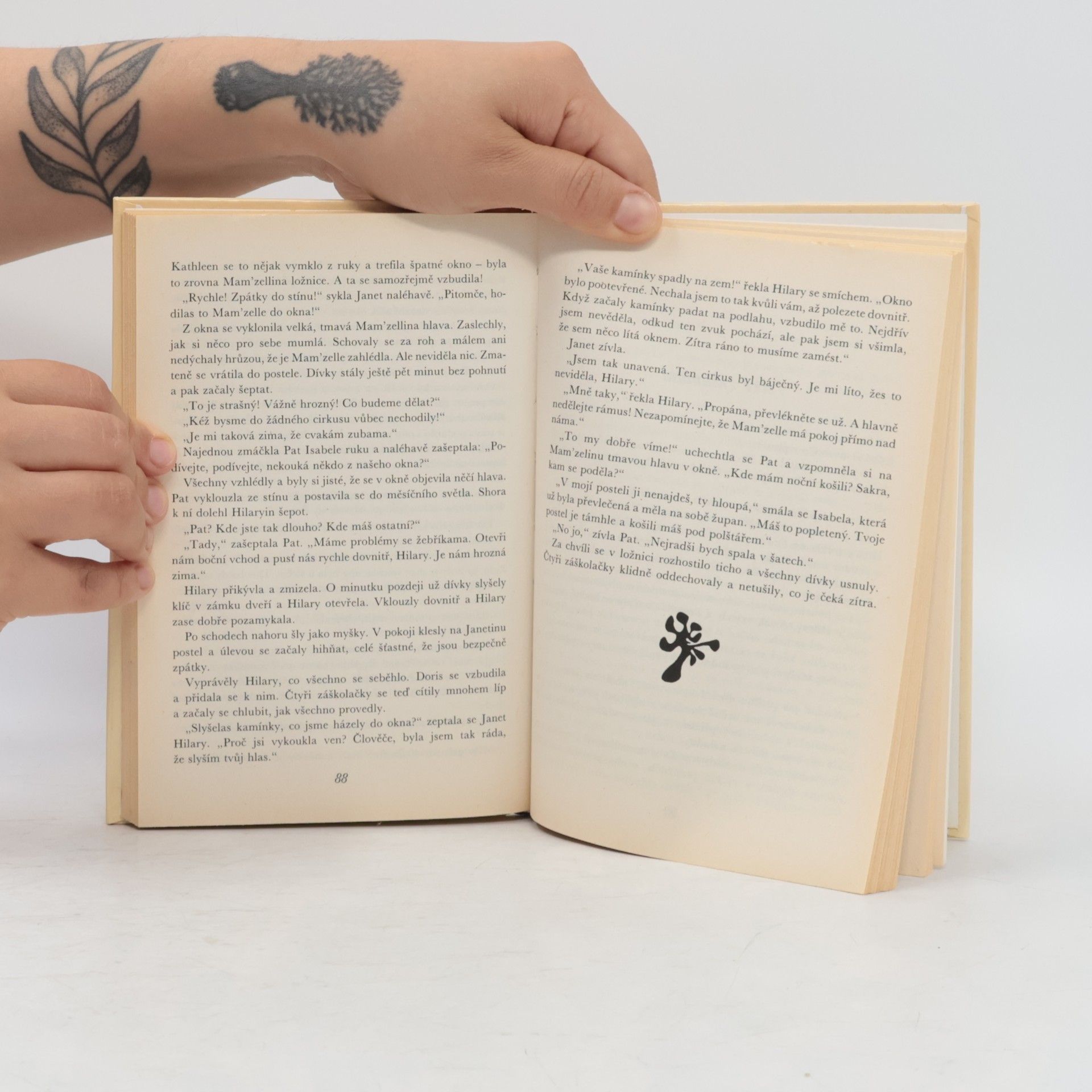 Enid Blyton Podařená dvojčata