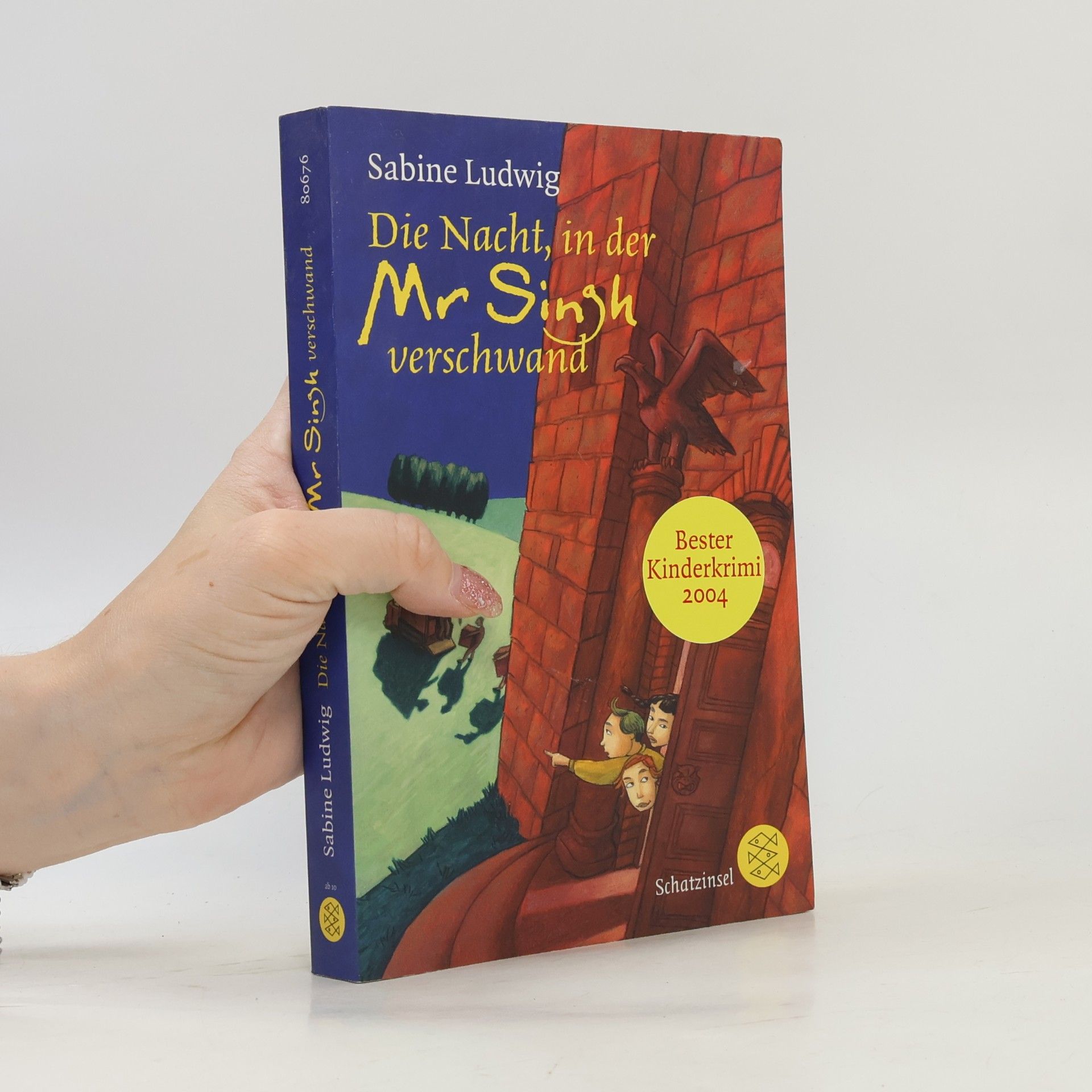 Sabine Ludwig Die Nacht, in der Mr Singh verschwand