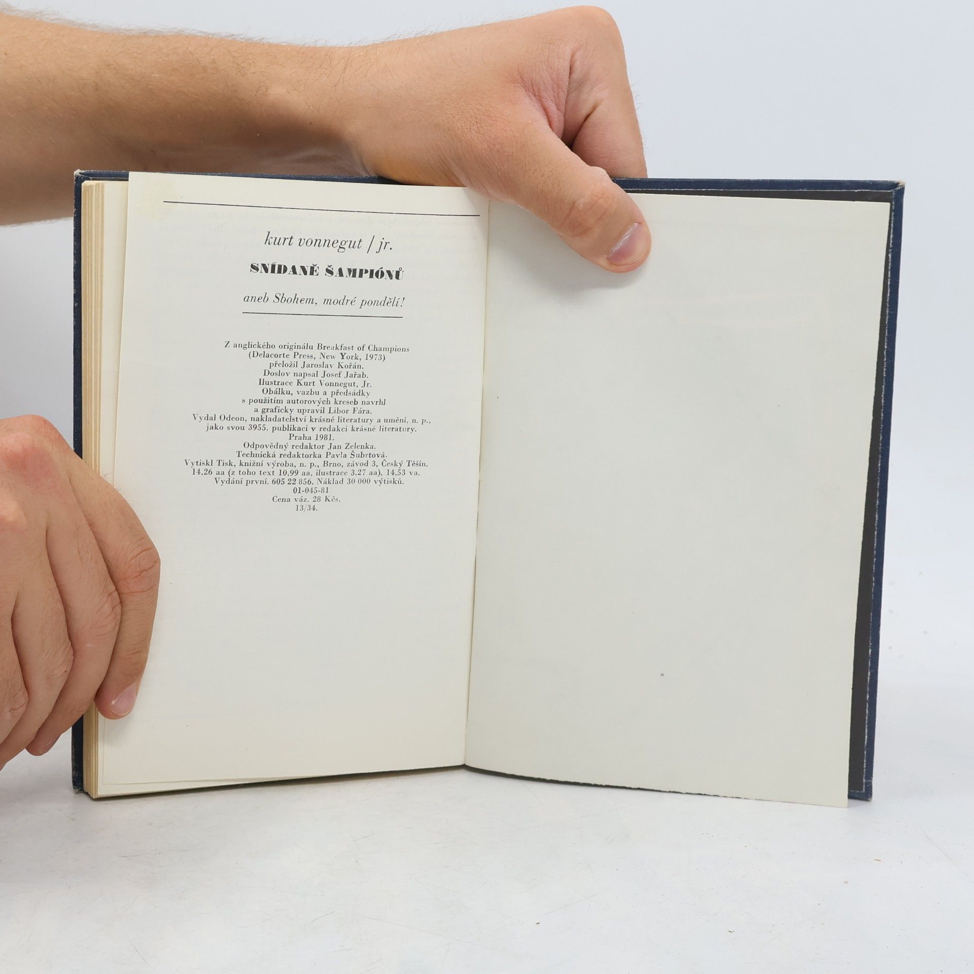Kurt Vonnegut Snídaně šampiónů aneb Sbohem, modré pondělí!