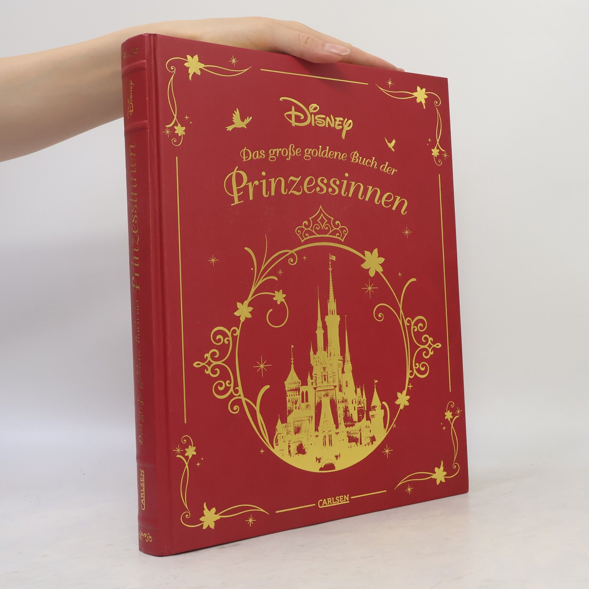 Kolektiv autorů Das große goldene Buch der Prinzessinnen