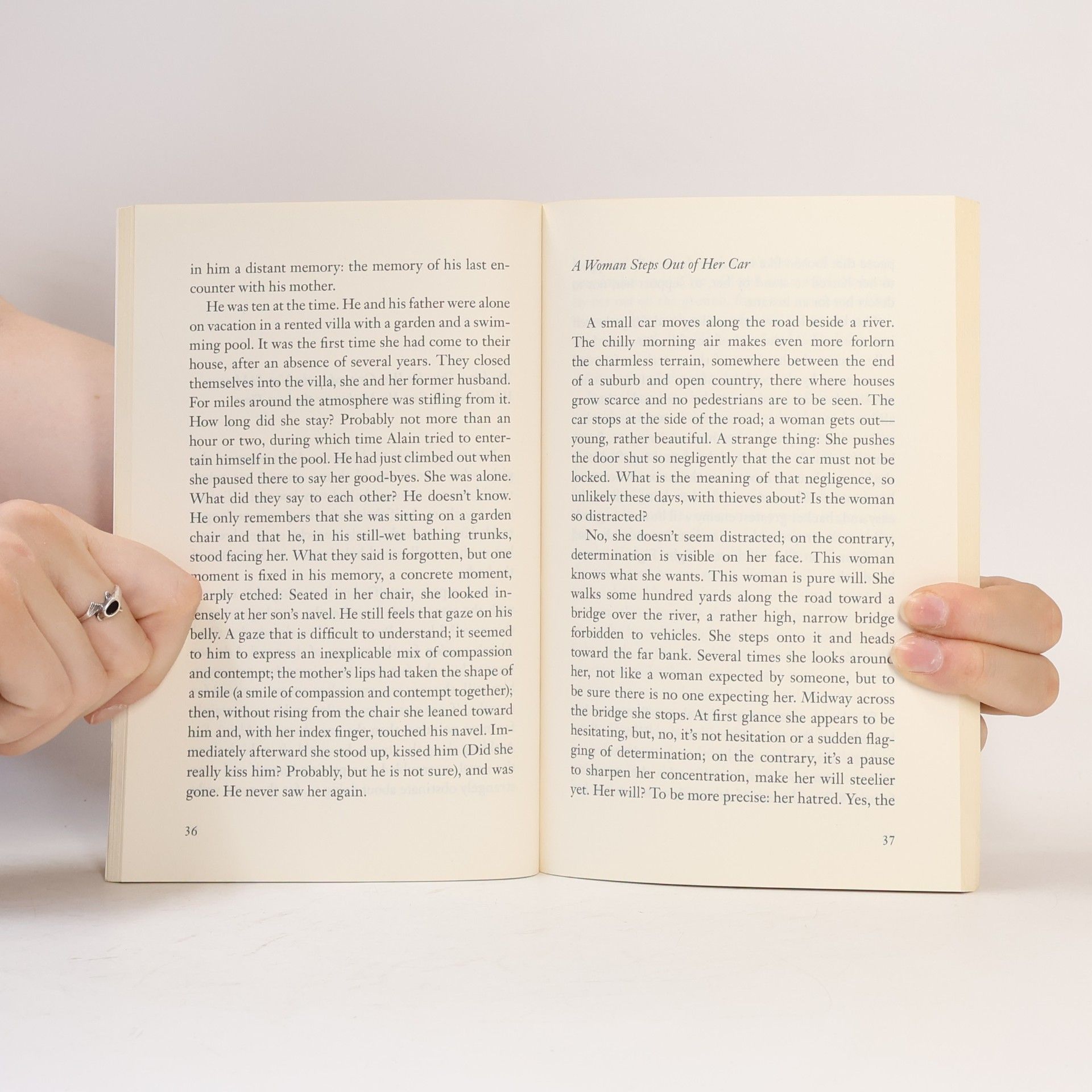 Milan Kundera The festival of insignificance