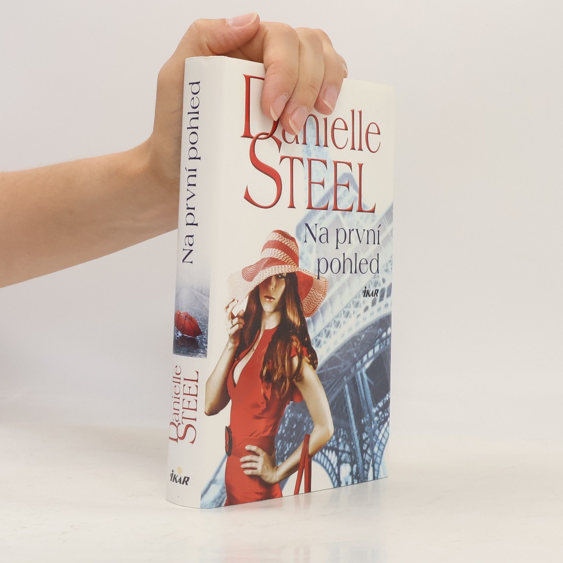 Danielle Steel Na první pohled