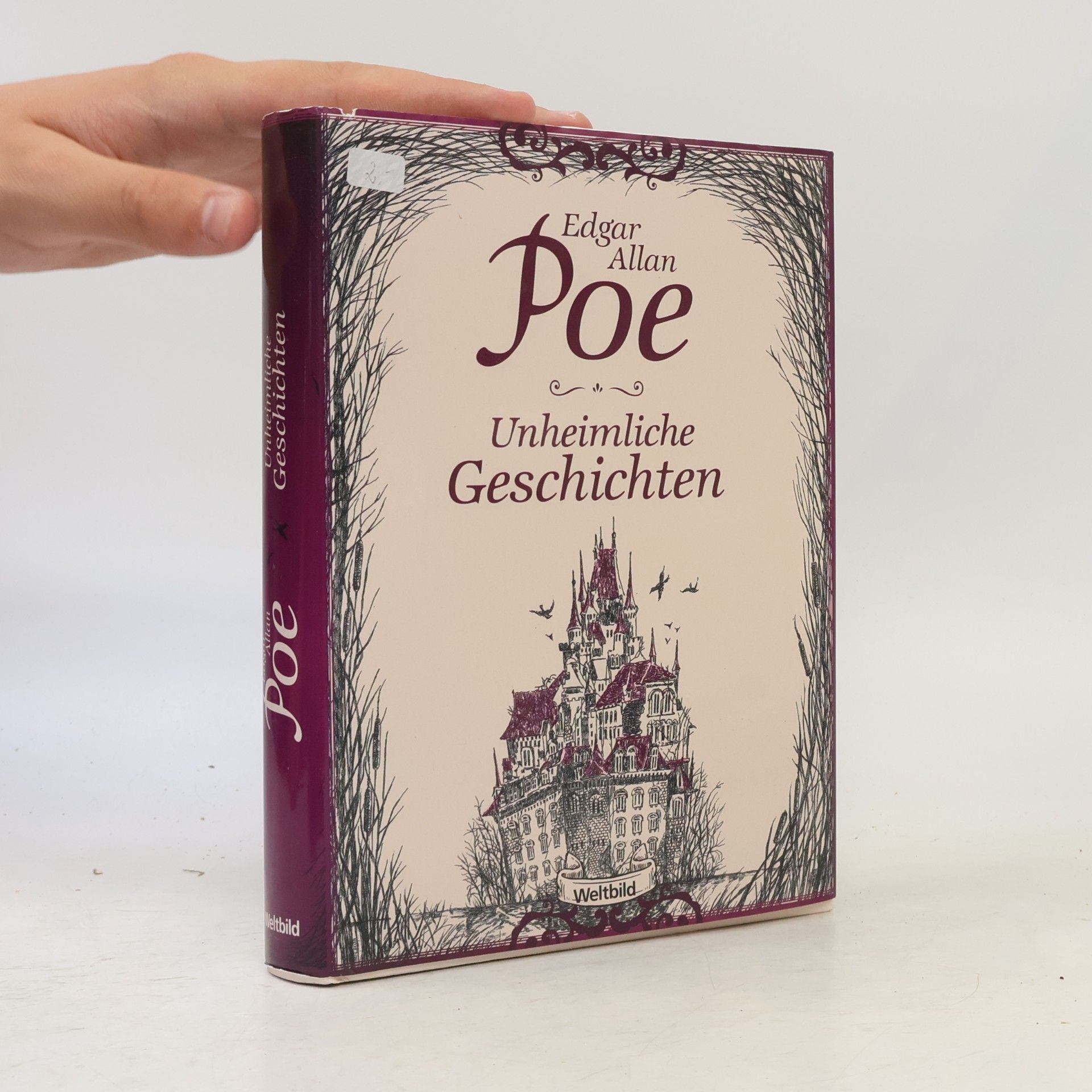 Edgar Allan Poe Unheimliche Geschichten