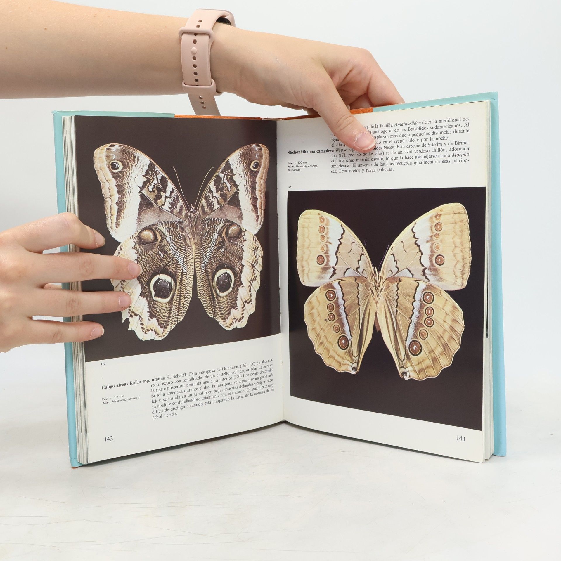 Václav Jan Staněk Enciclopedia de las mariposas