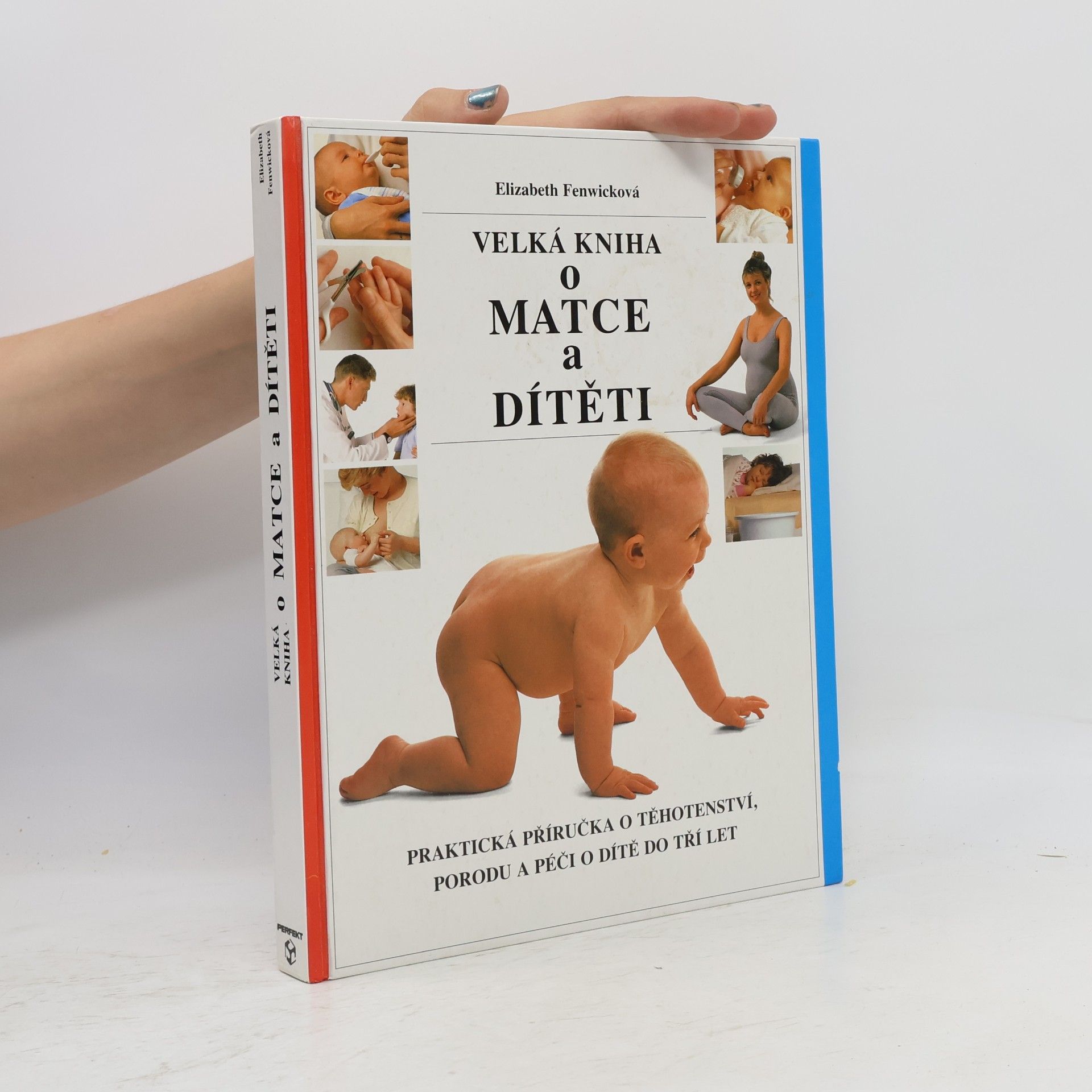 Elizabeth Fenwick Velká kniha o matce a dítěti