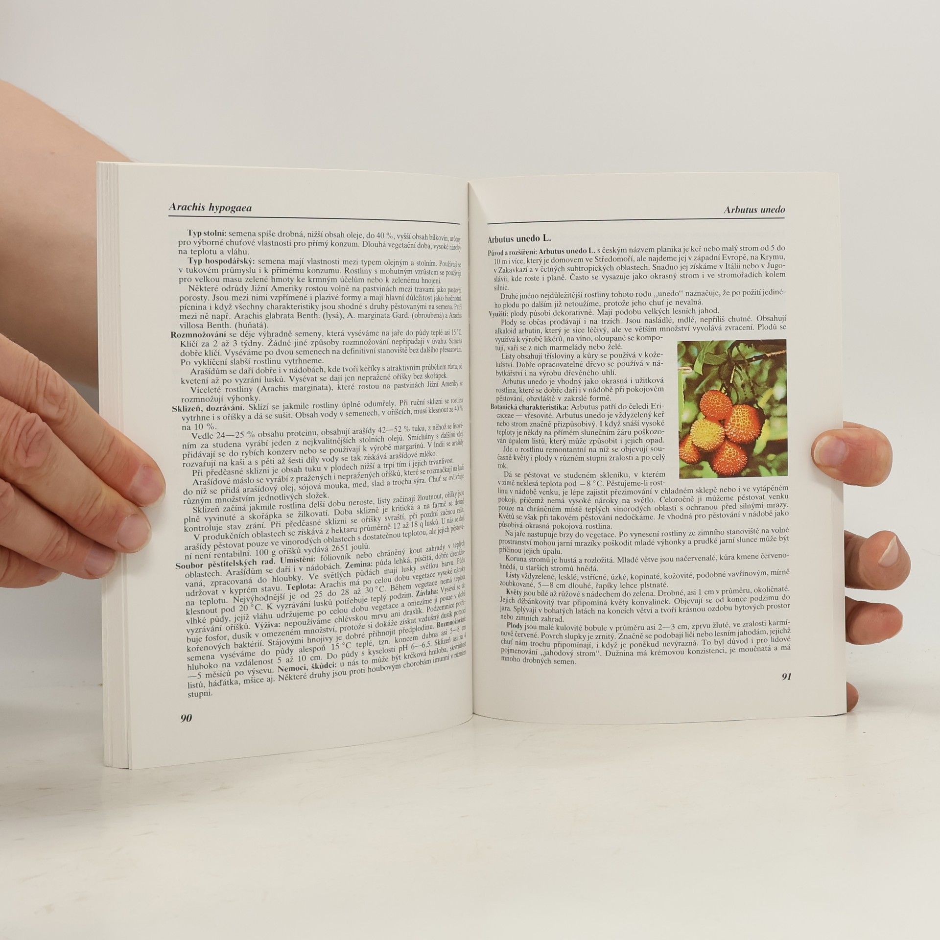 Jiří Šamla Subtropy I.: Pěstitelské praktikum A