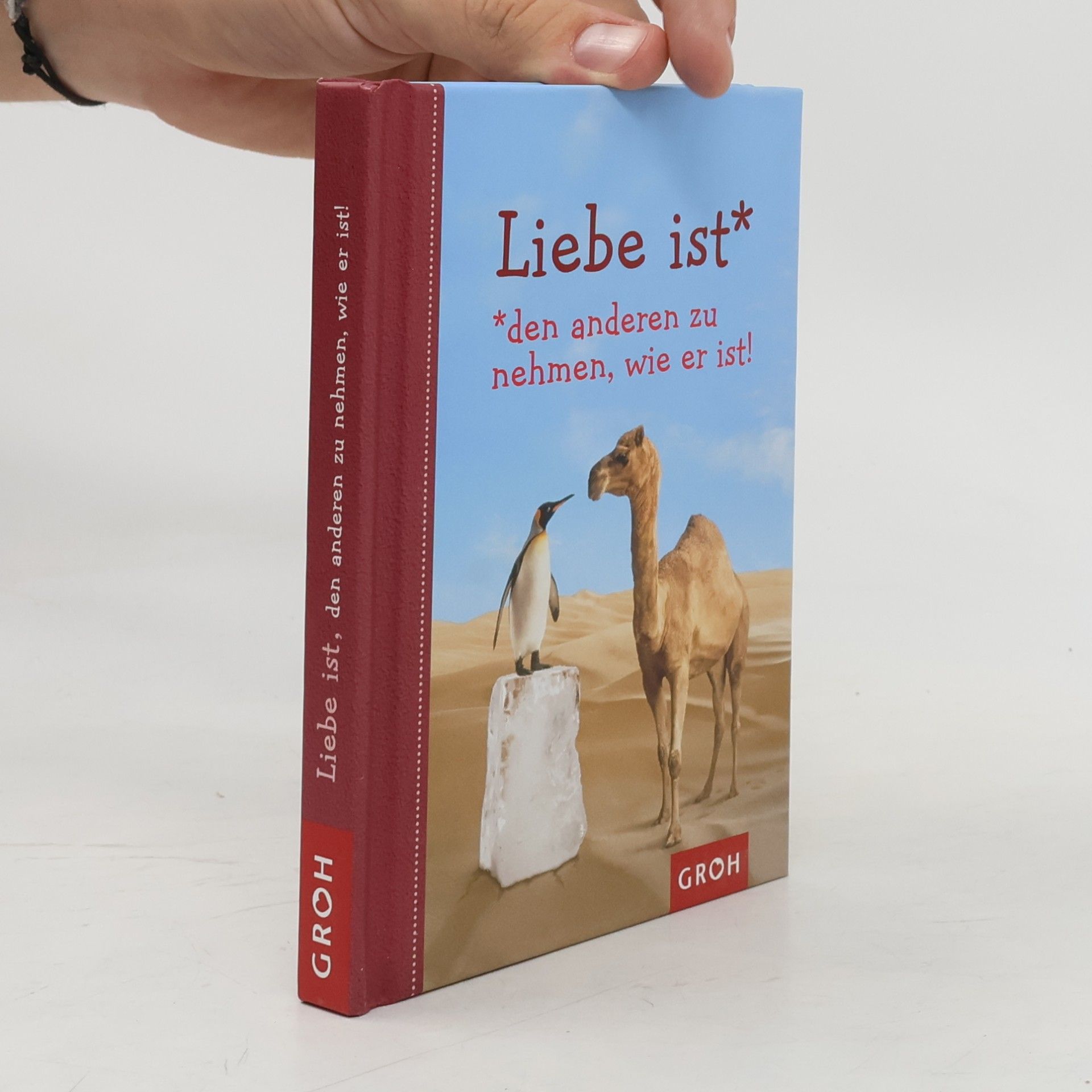 Kolektiv autorů Liebe ist den anderen zu nehmen, wie er ist