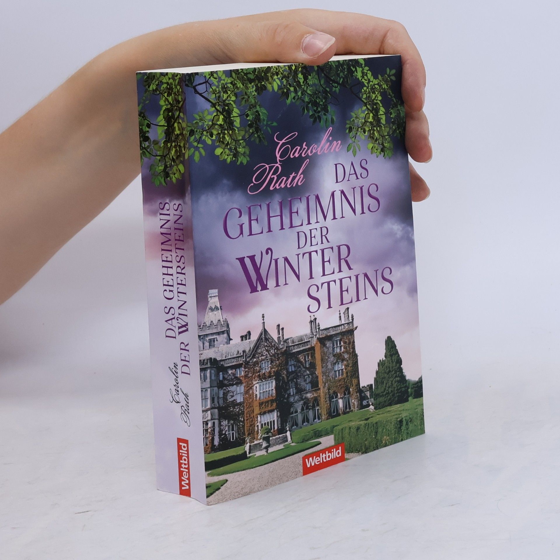 Carolin Rath Das Geheimnis der Wintersteins