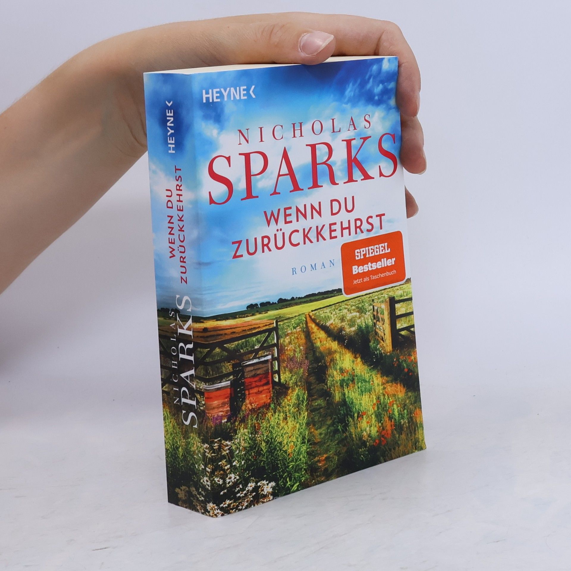 Nicholas Sparks Wenn du zurückkehrst