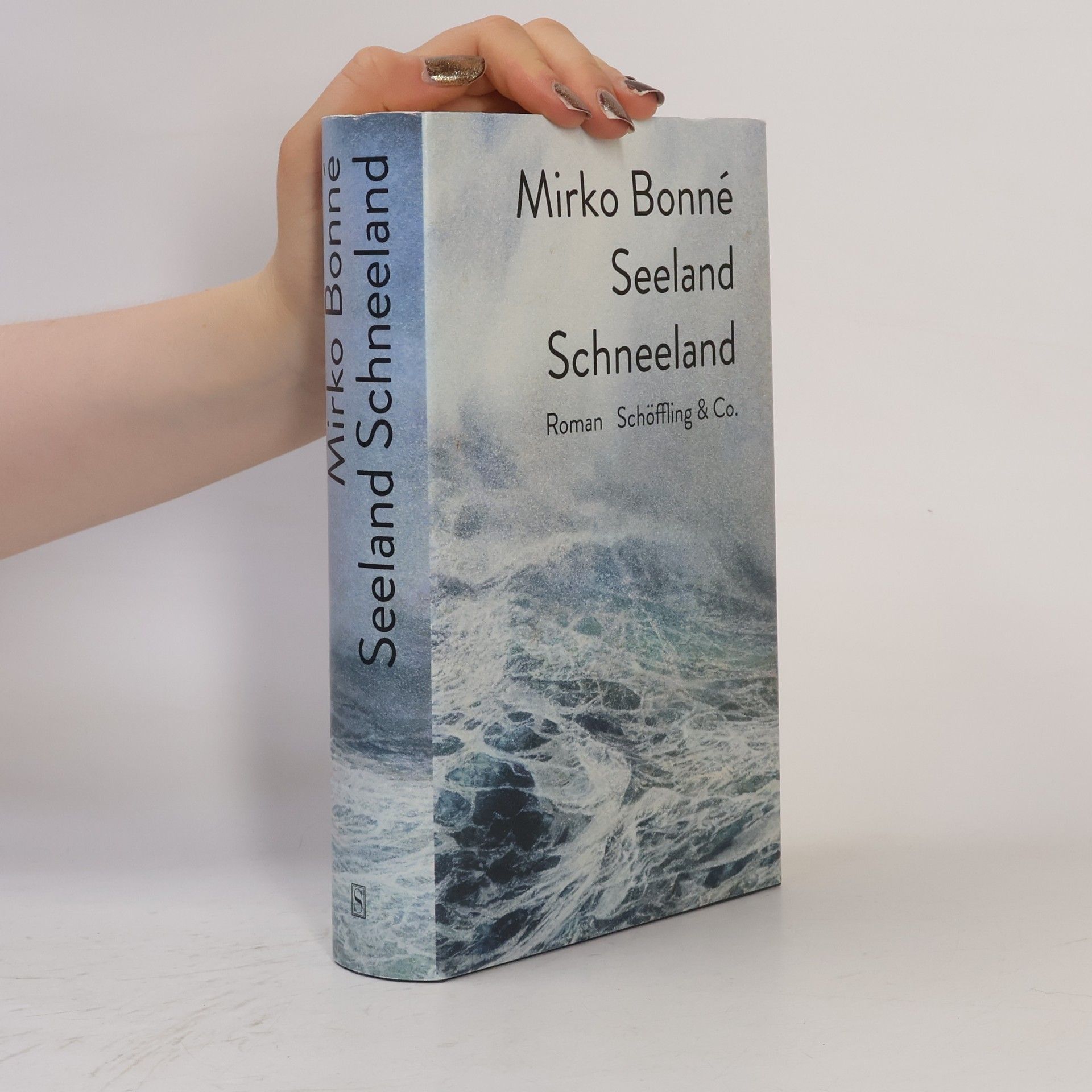 Mirko Bonné Seeland Schneeland