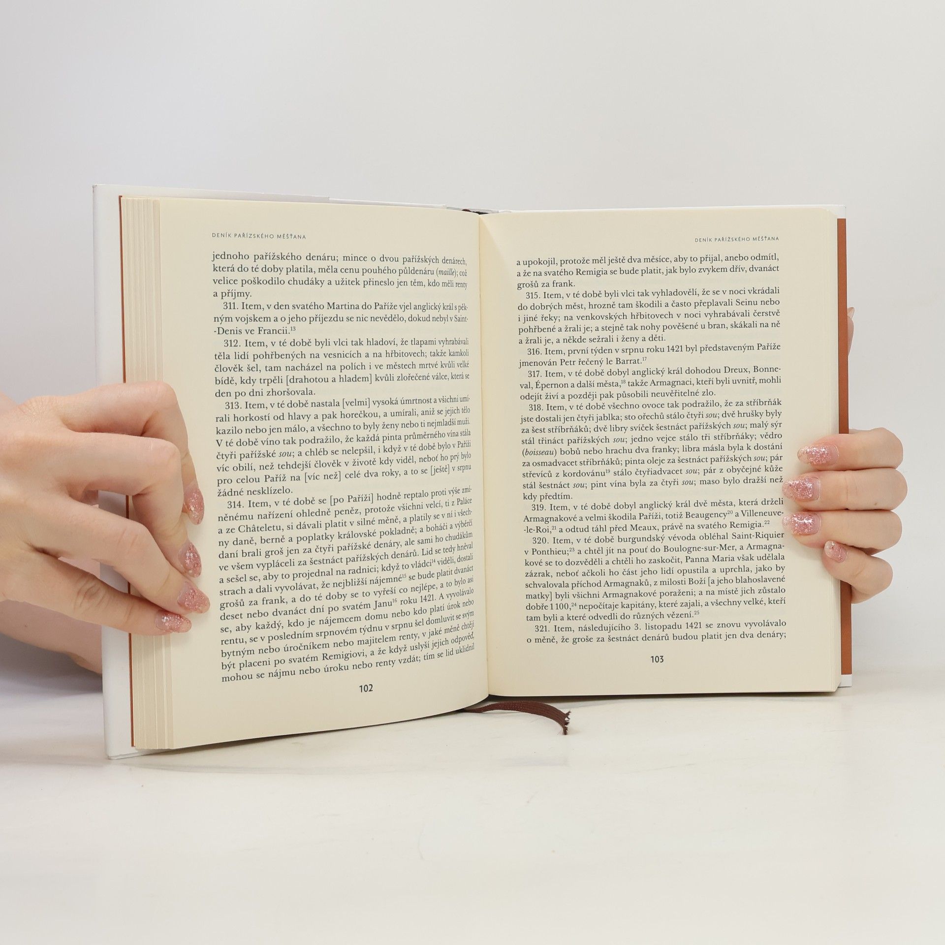 Collectif d'auteurs Deník pařížského měšťana