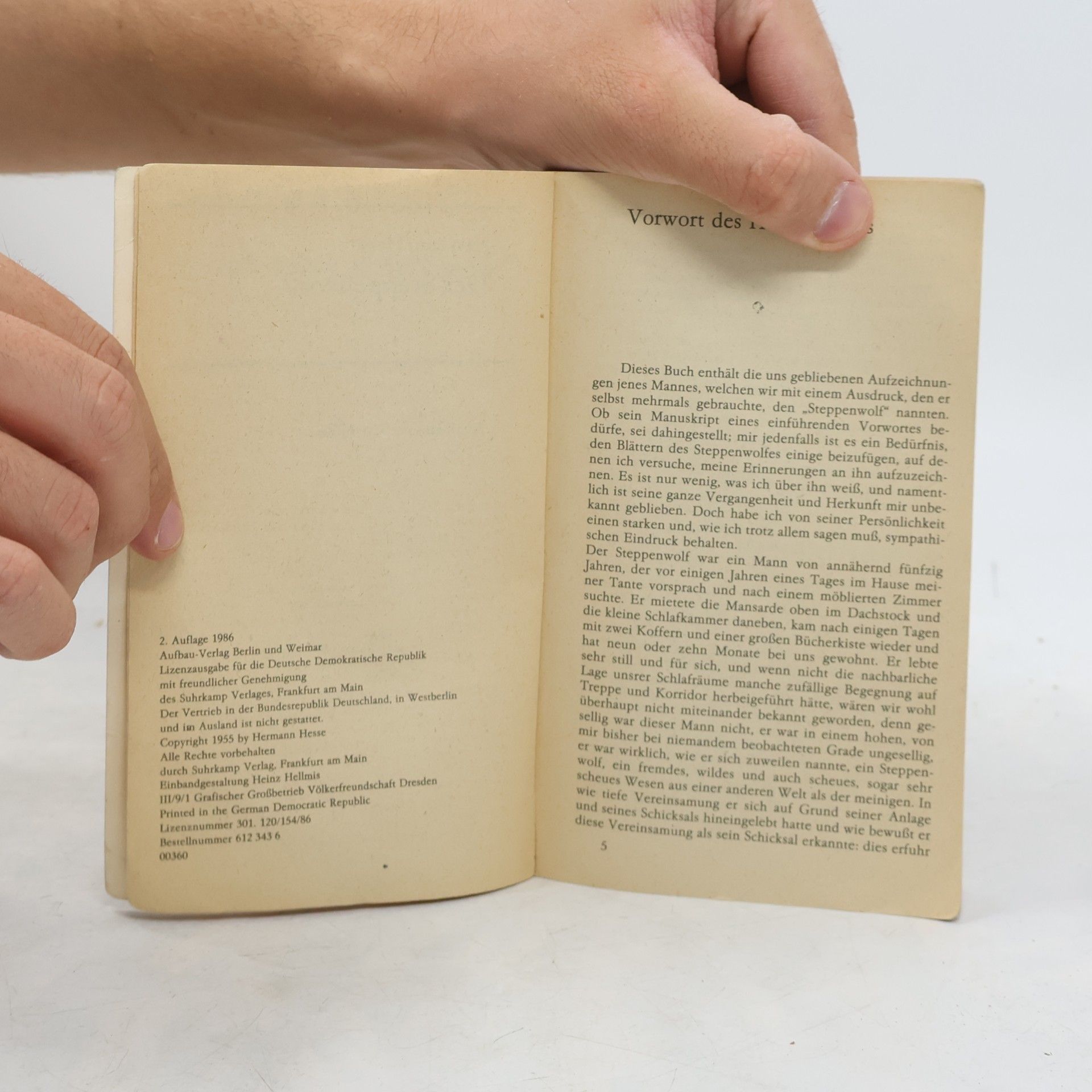 Hermann Hesse Der Steppenwolf