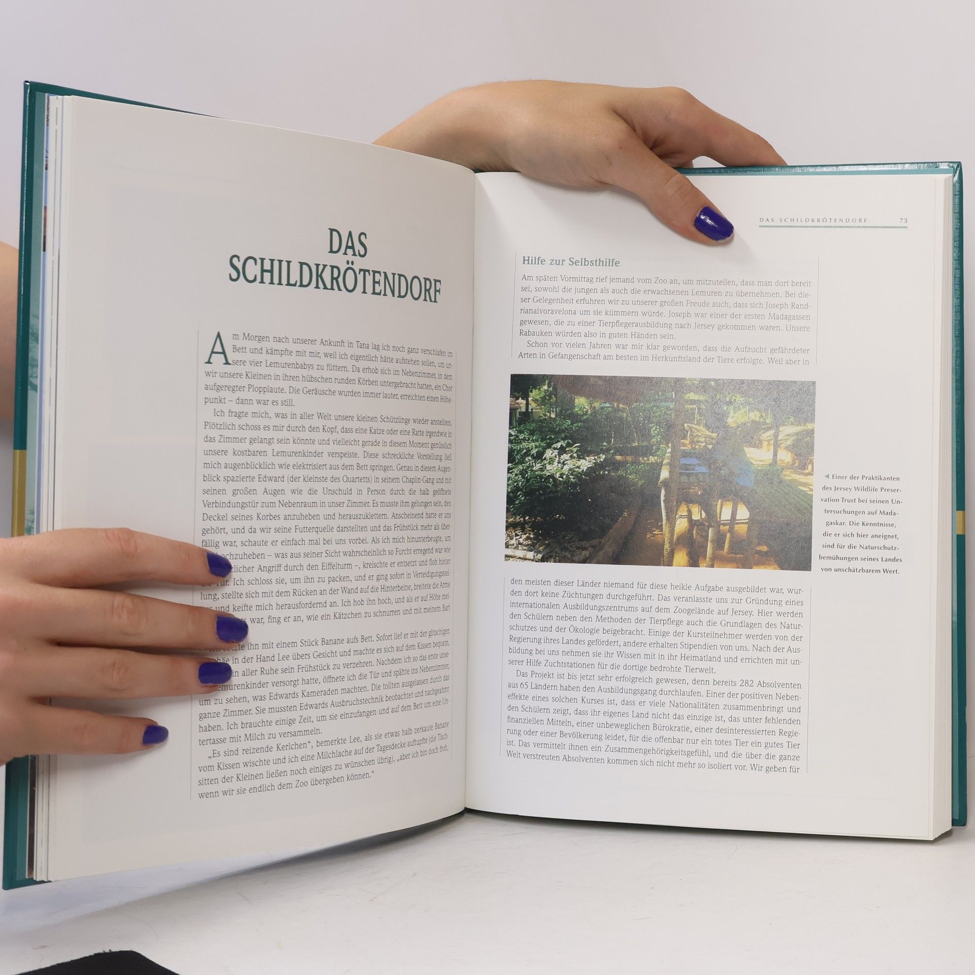 Autorenkollektiv Naturerlebnis Madagaskar