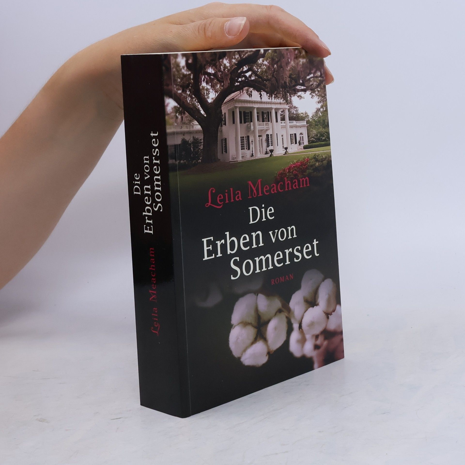 Leila Meacham Die Erben von Somerset