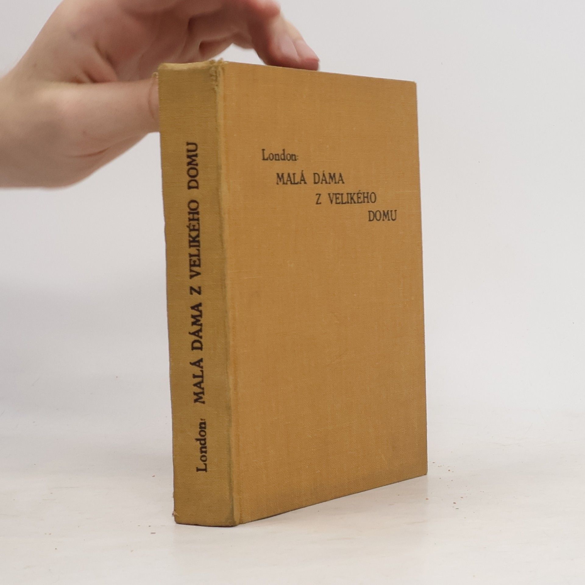 Jack London Malá dáma z velikého domu I.