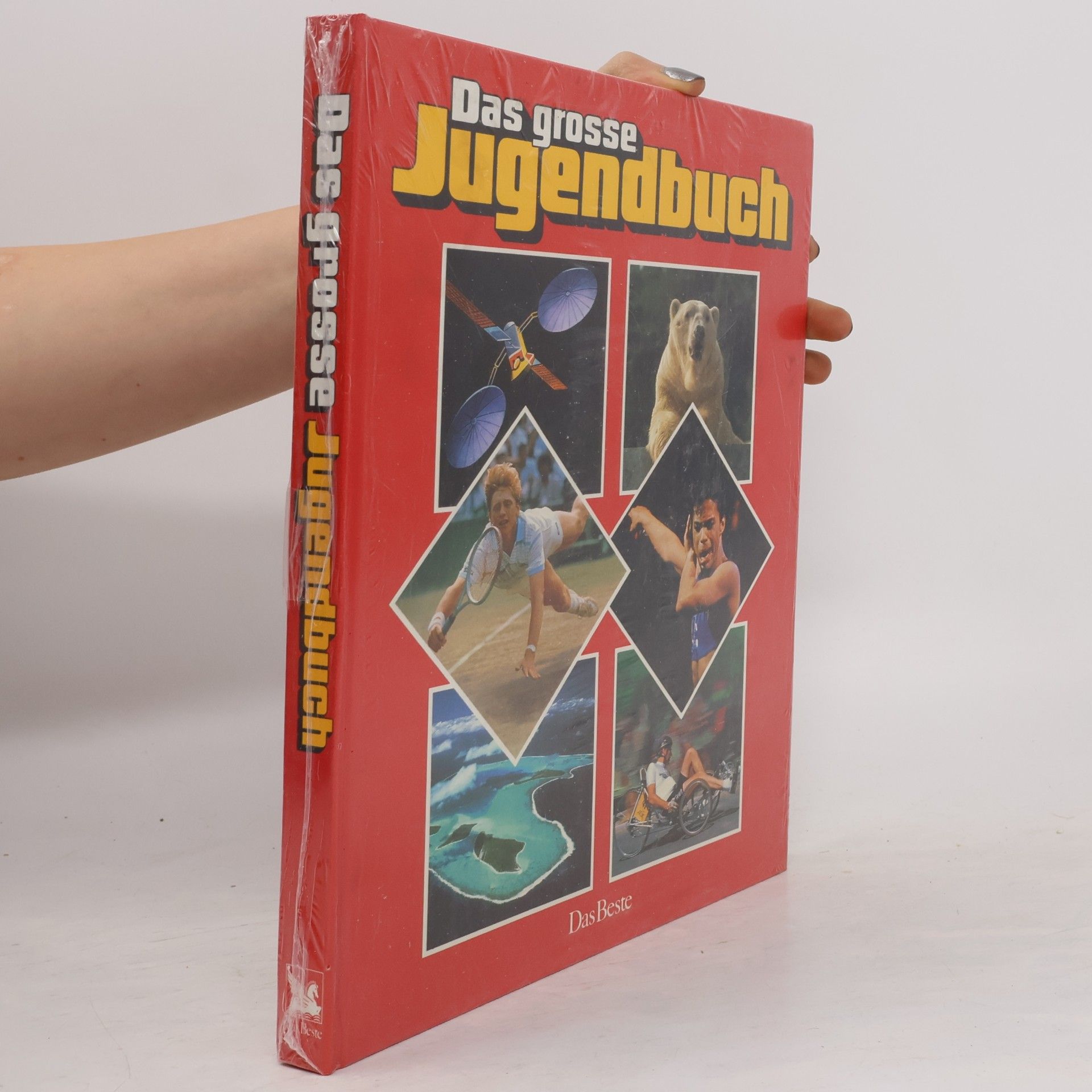 Kolektiv autorů Das große Jugendbuch. 28. Folge