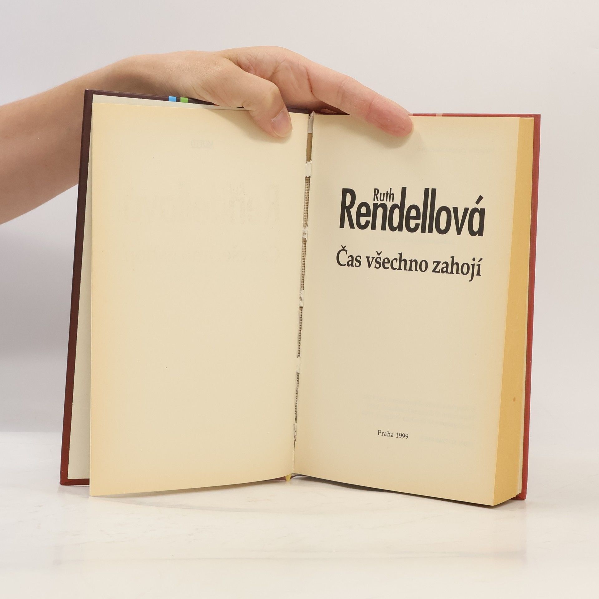 Ruth Rendell Čas všechno zahojí