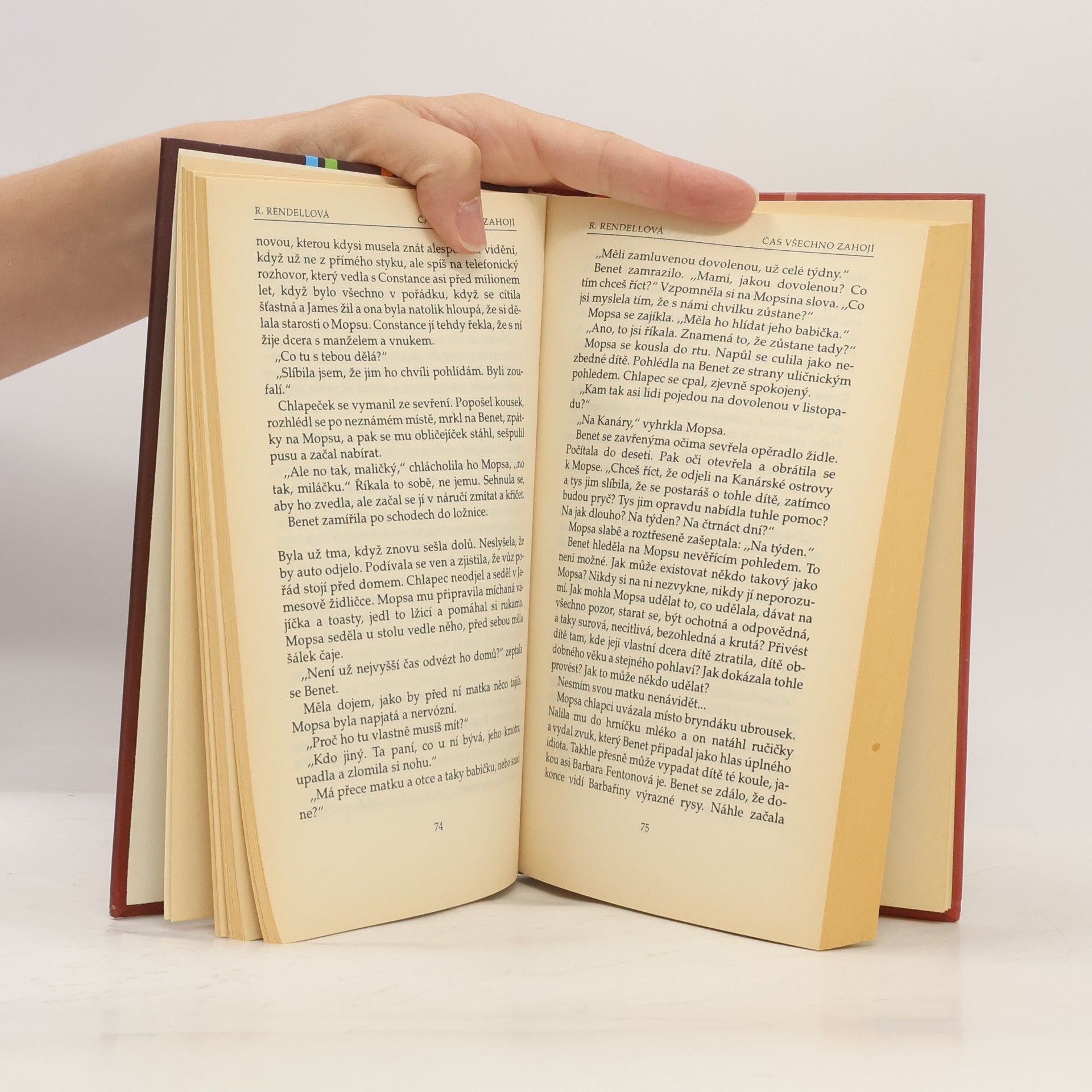 Ruth Rendell Čas všechno zahojí