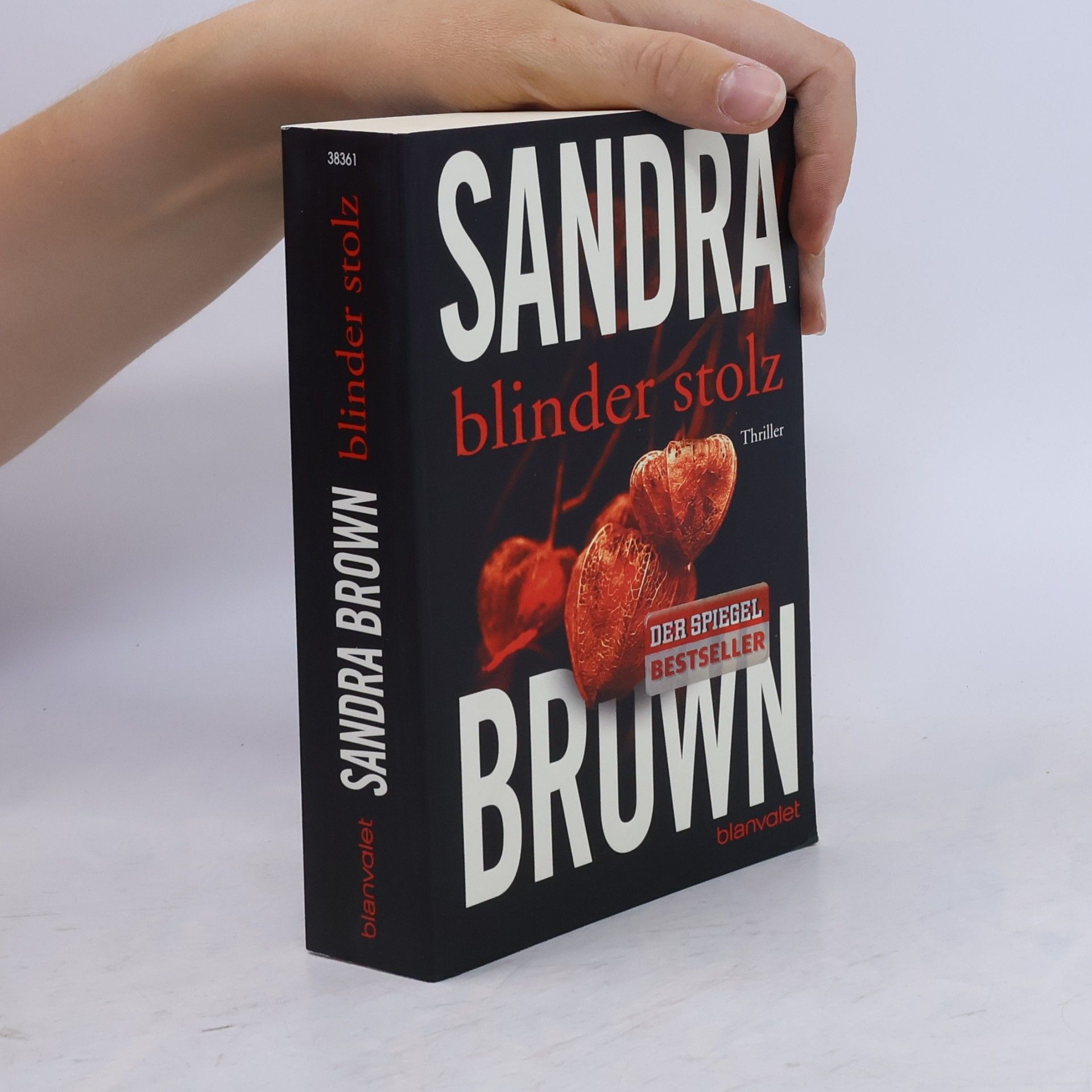 Sandra Brown Blinder Stolz