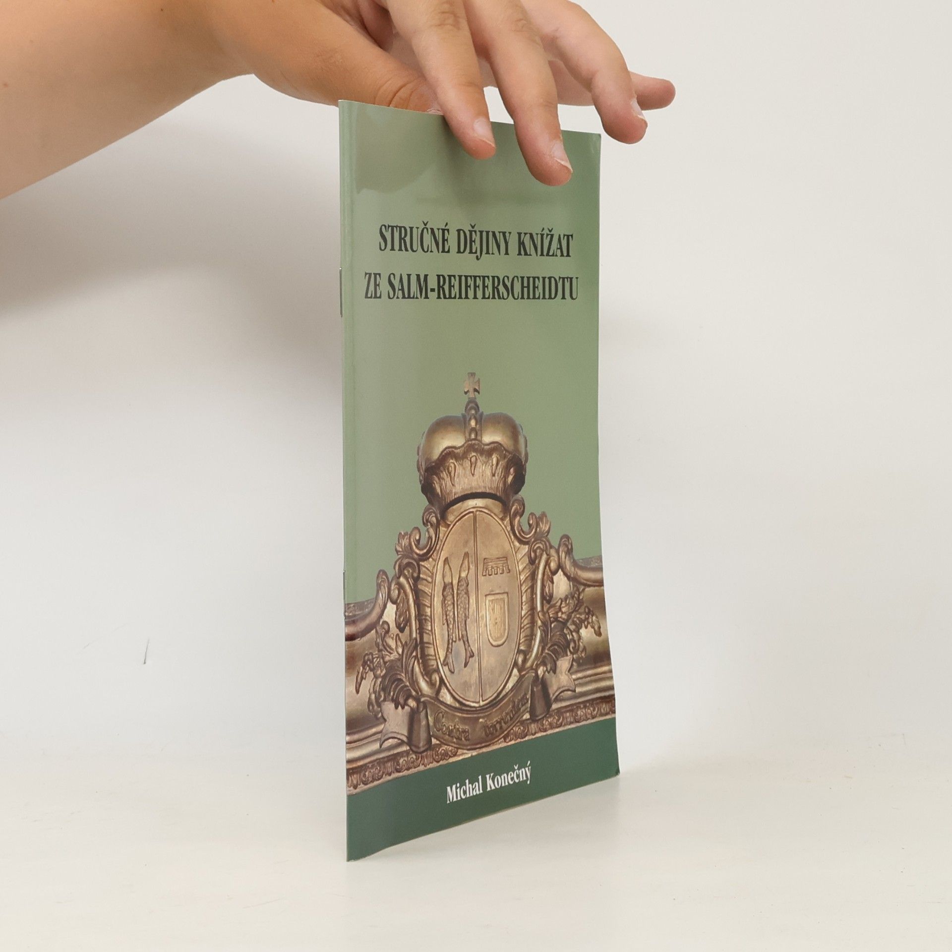 Stručné dějiny knížat ze Salm-Reifferscheidtu