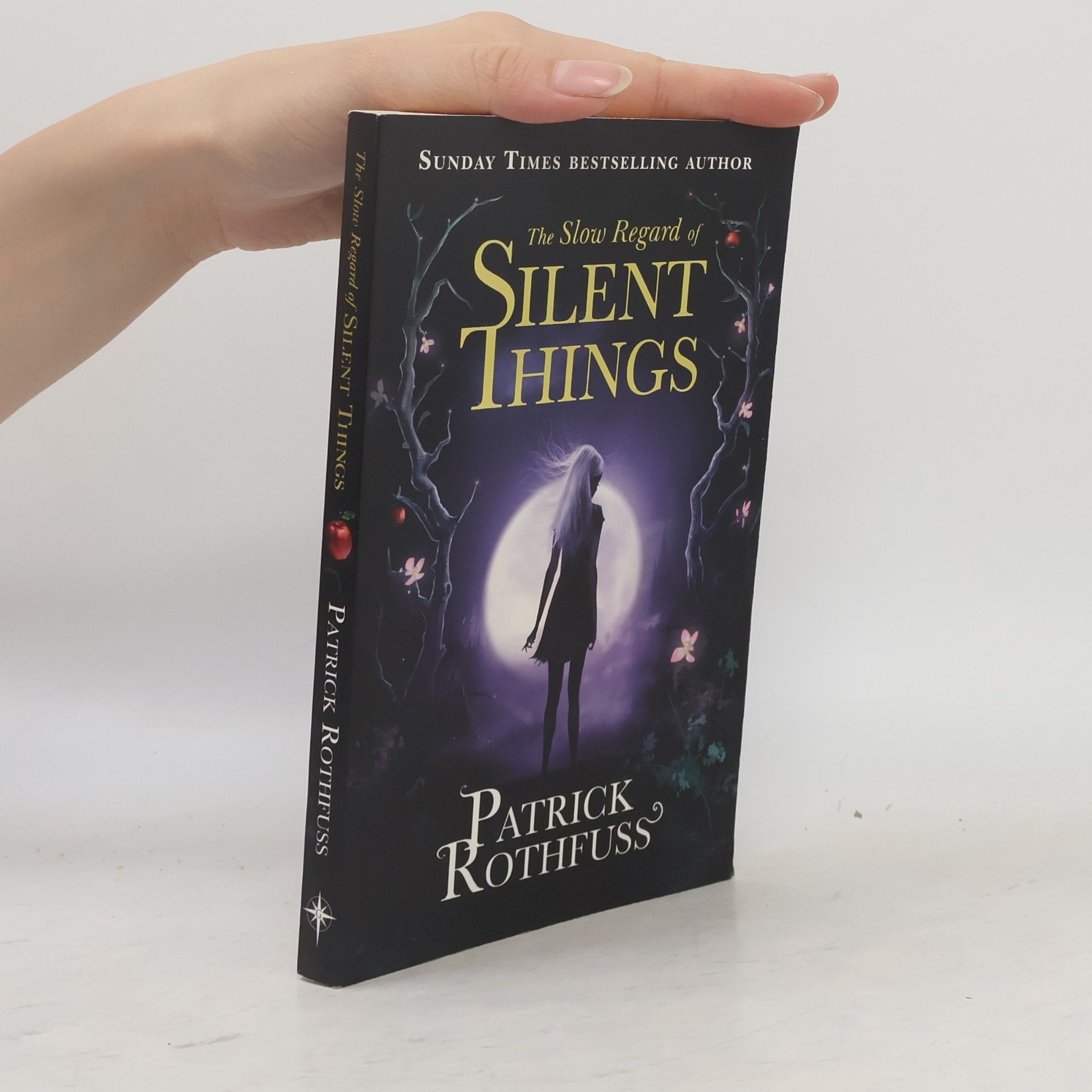 Patrick Rothfuss The Slow Regard of Silent Things