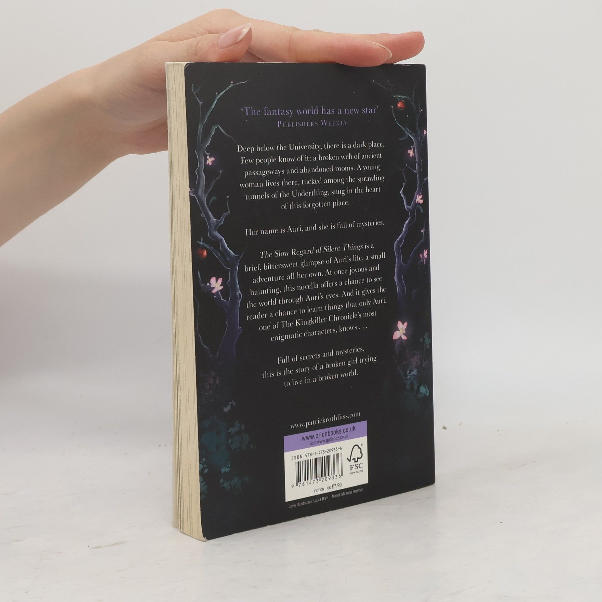 Patrick Rothfuss The Slow Regard of Silent Things
