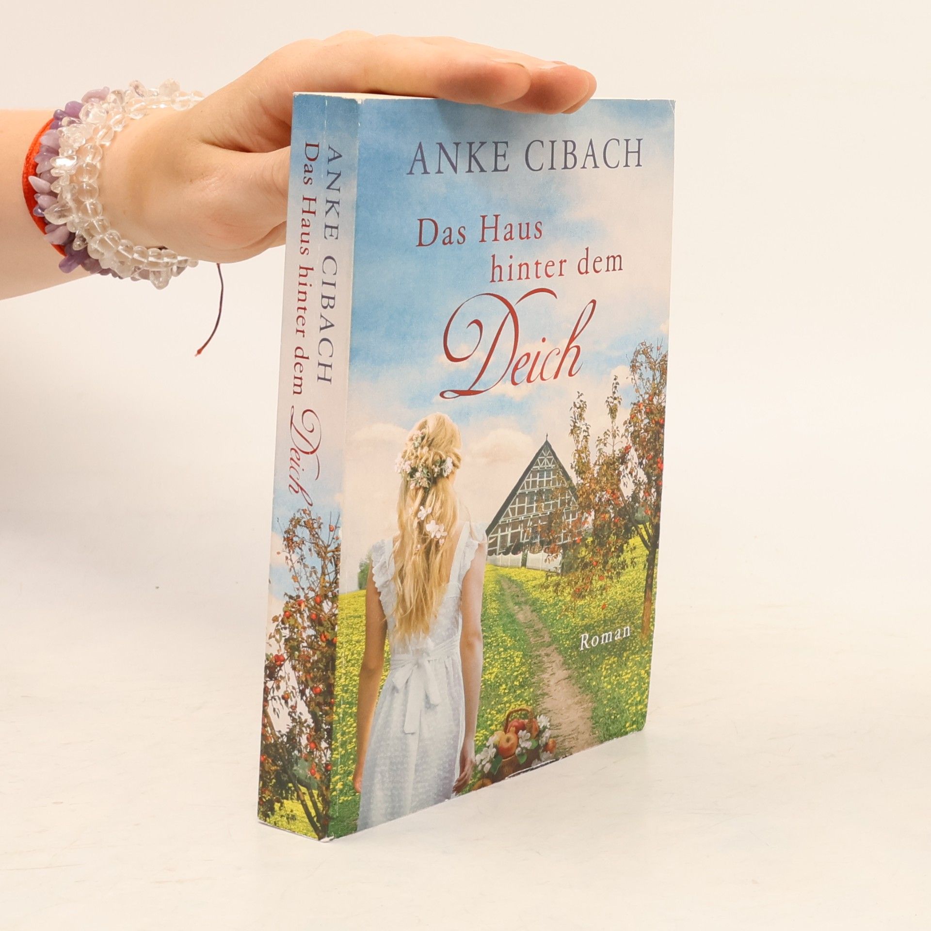 Anke Cibach Das Haus hinter dem Deich