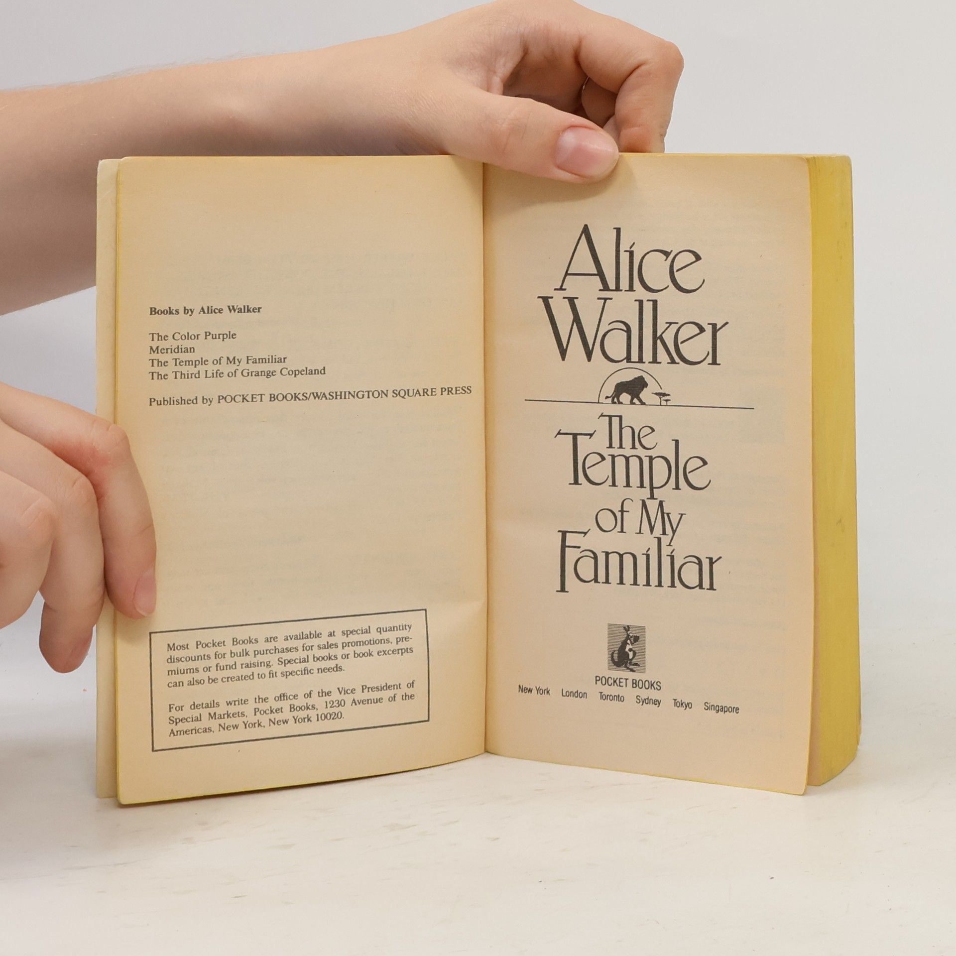 Alice Walker The Temple of My Familiar