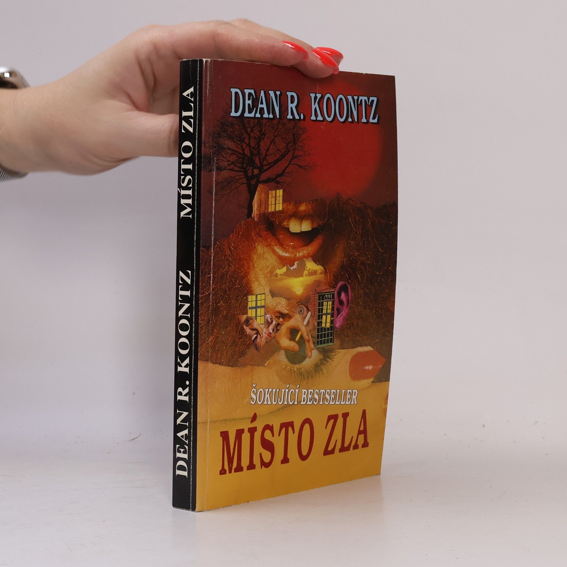 Dean Ray Koontz Místo zla
