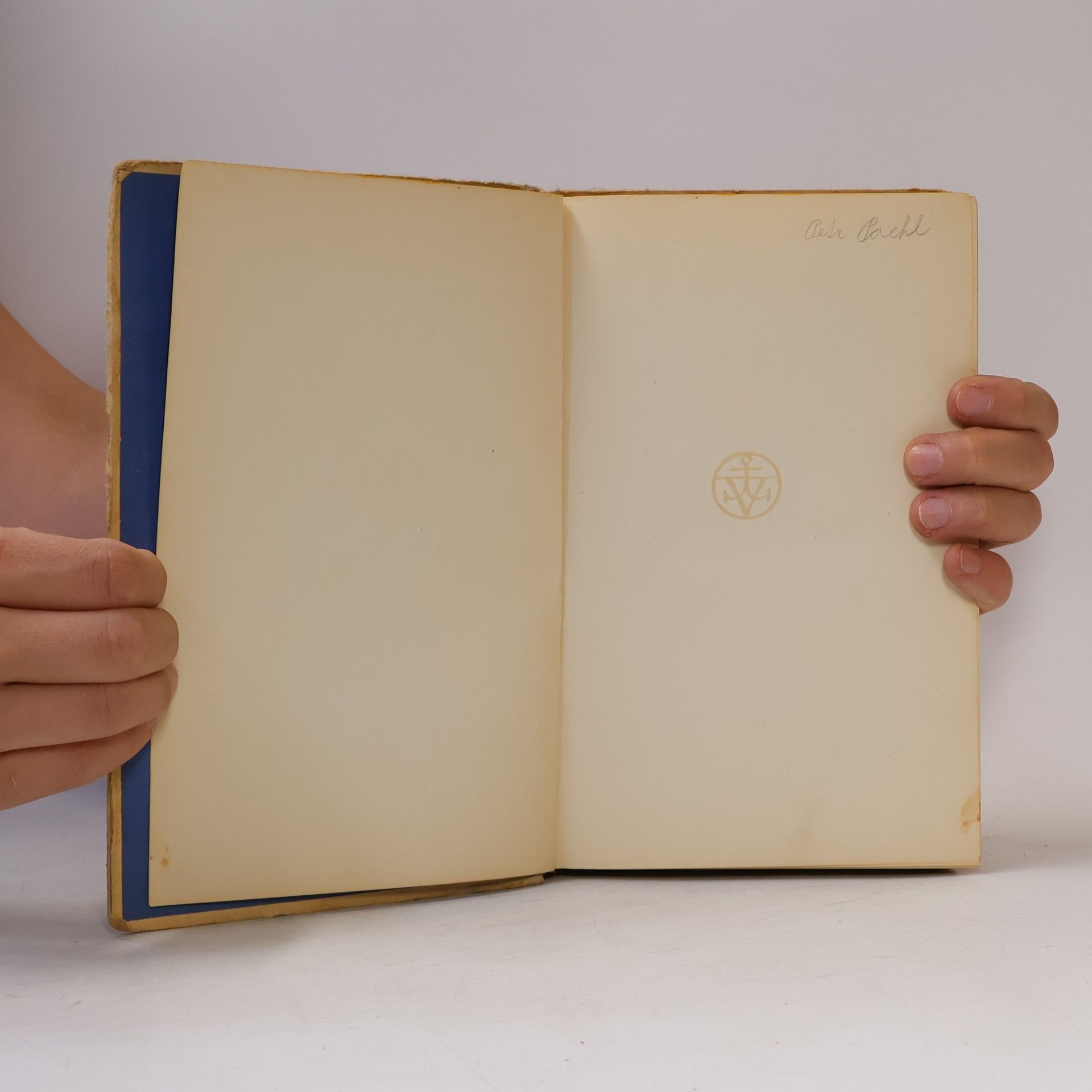 Mark Twain Dobrodružství Toma Sawyera