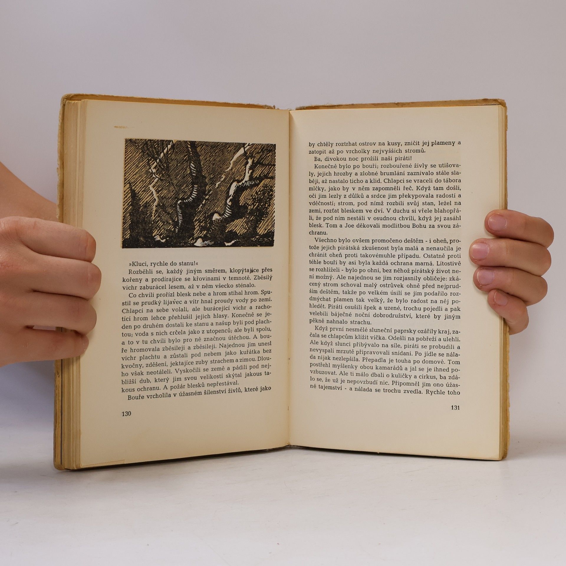 Mark Twain Dobrodružství Toma Sawyera