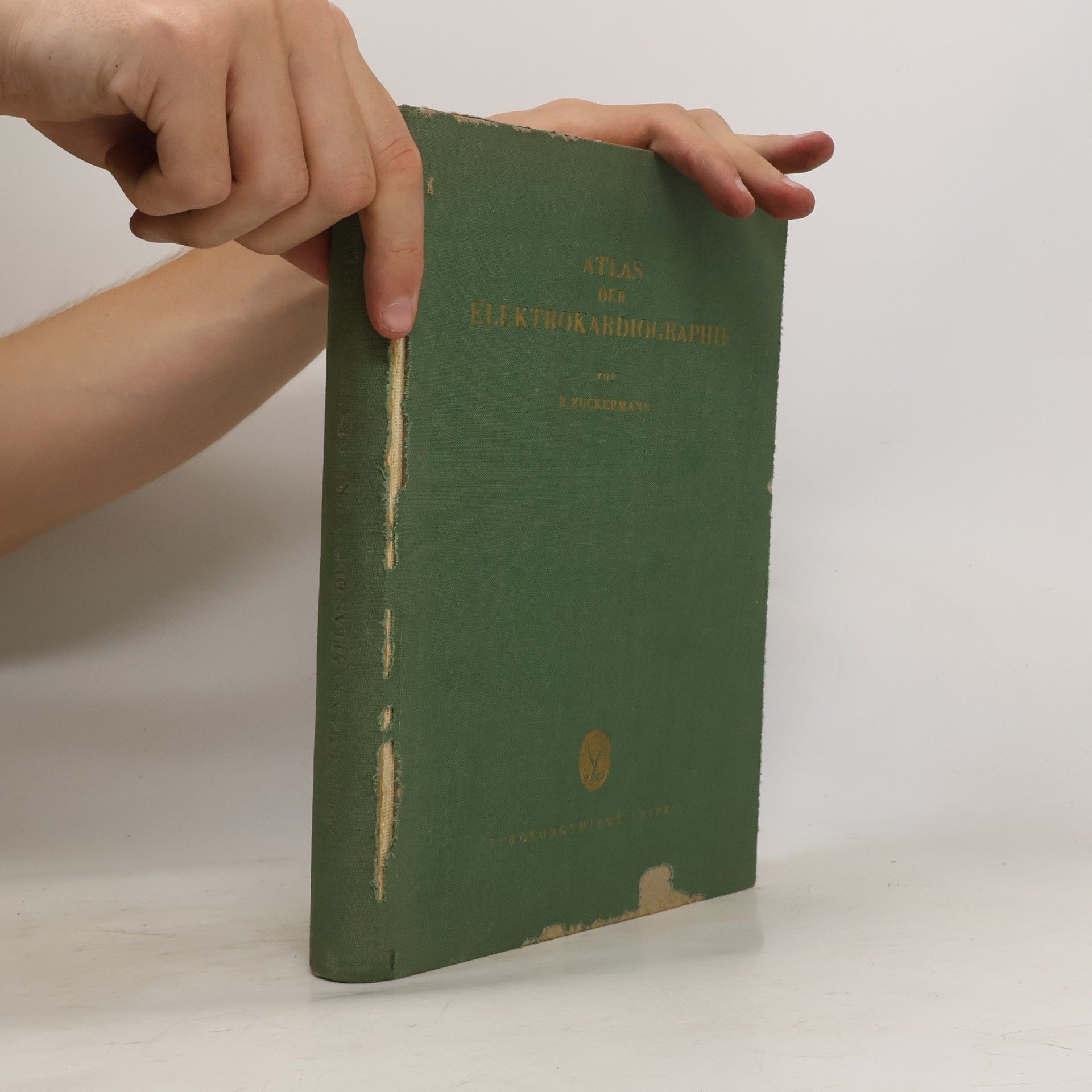 Rudolf Zuckermann Atlas der Elektrokardiographie