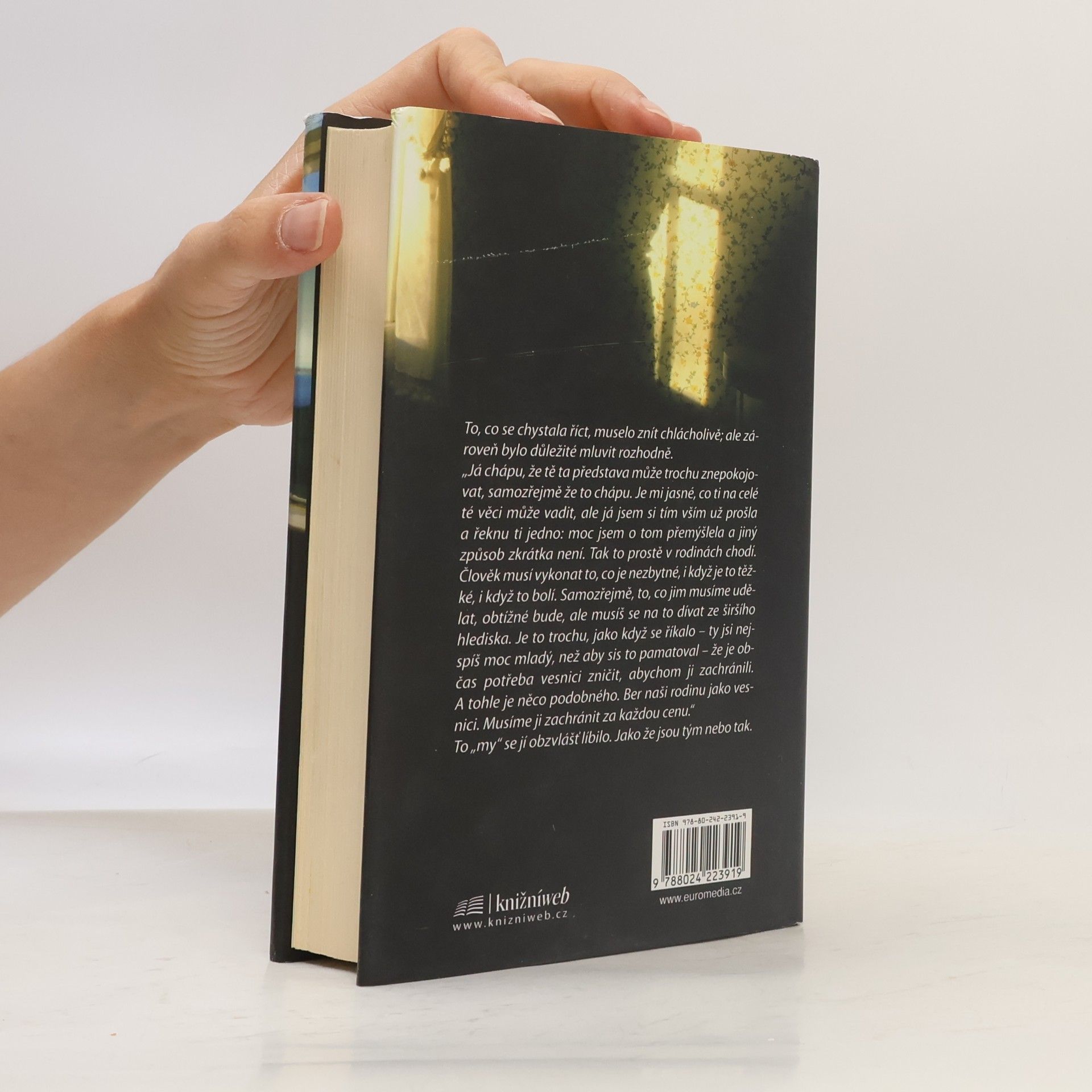 Linwood Barclay Na loučení nebyl čas
