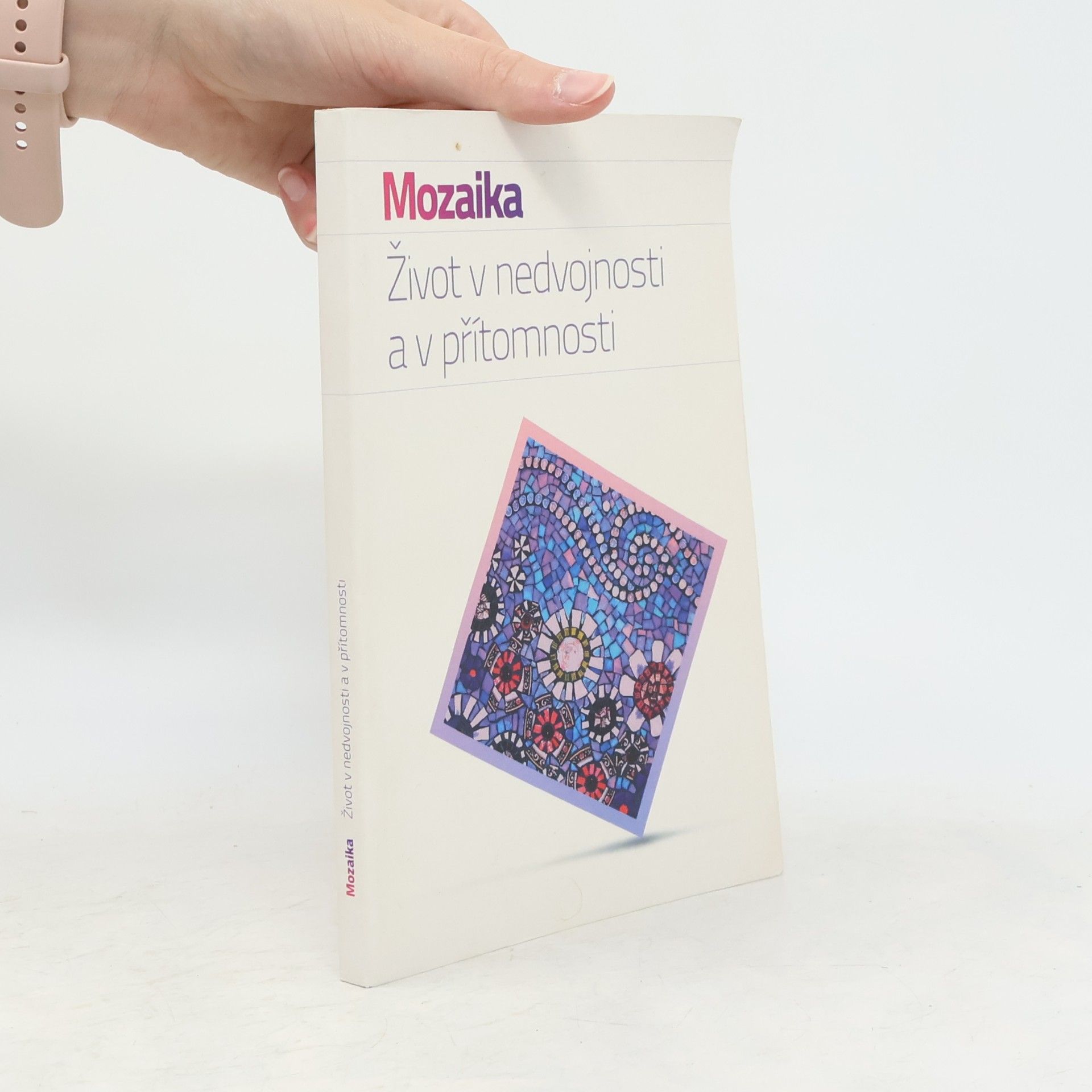 Kolektiv autorů Mozaika. Život v nedvojnosti a v přítomnosti