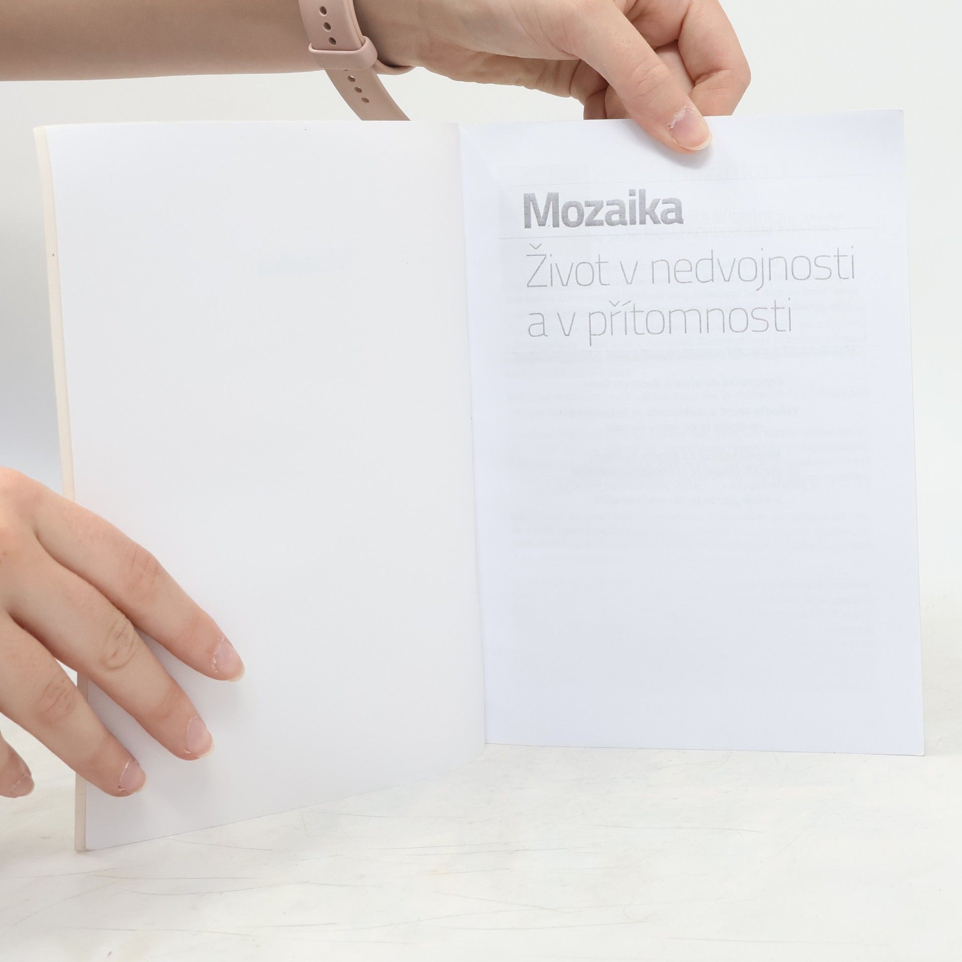 Various authors Mozaika. Život v nedvojnosti a v přítomnosti