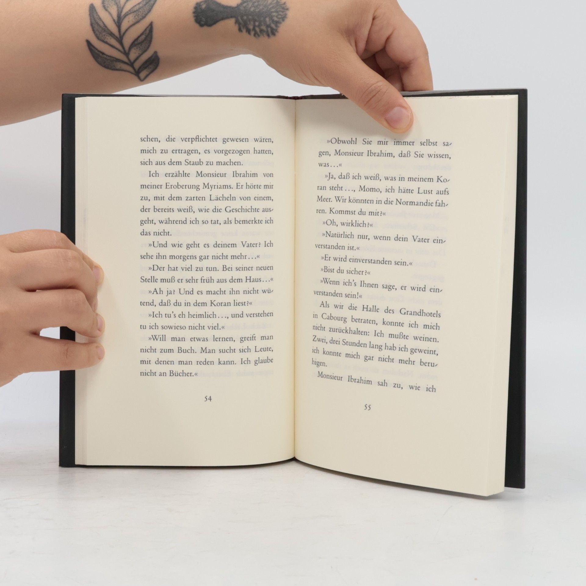 Eric Emmanuel Schmitt Monsieur Ibrahim und die Blumen des Koran