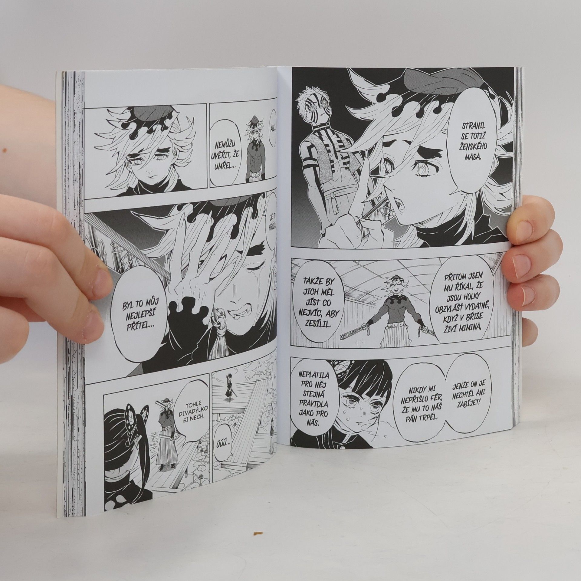 Koyoharu Gotōge Zabiják démonů 18 - Příval nostalgie