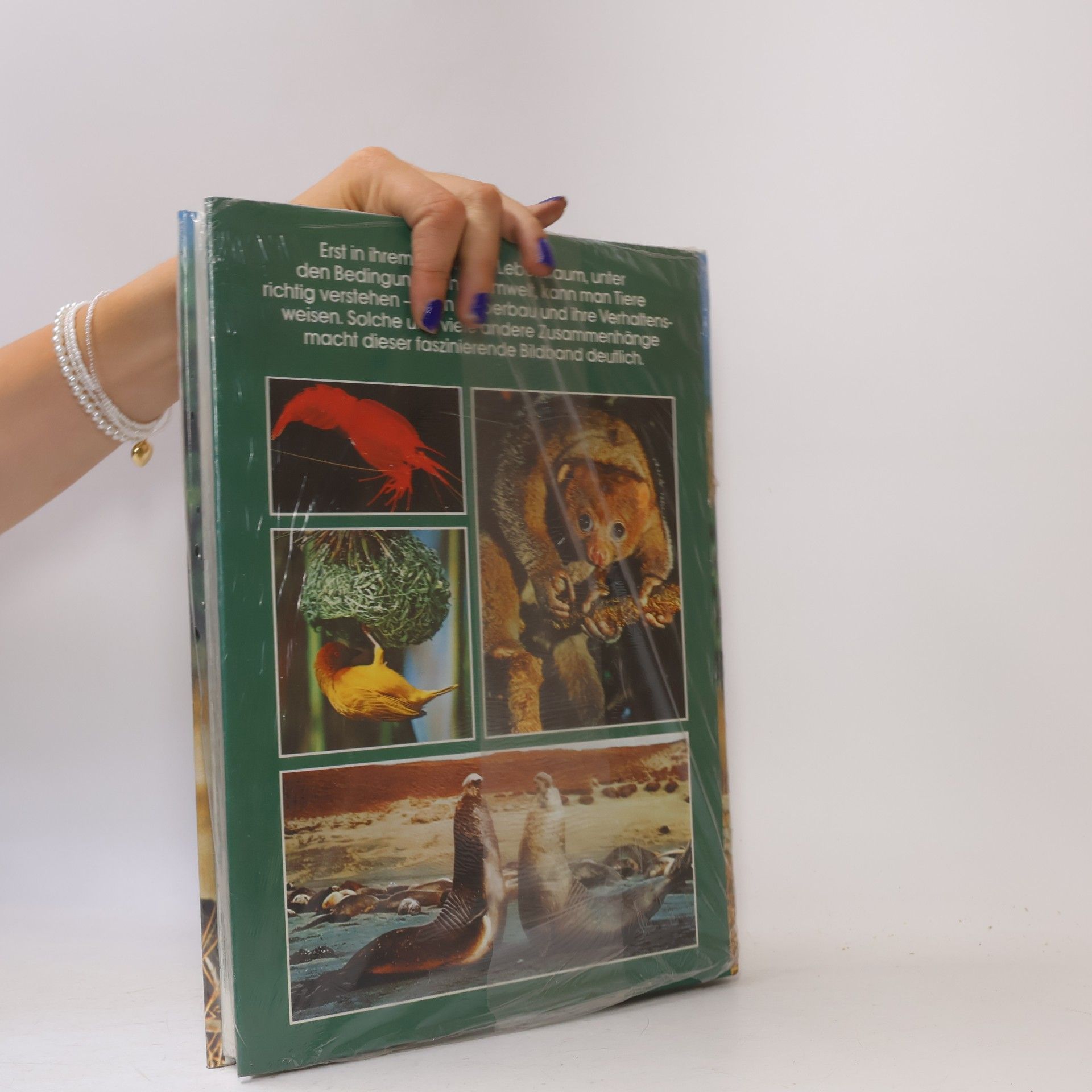 A. Blair-Rains Bildatlas der Tierwelt