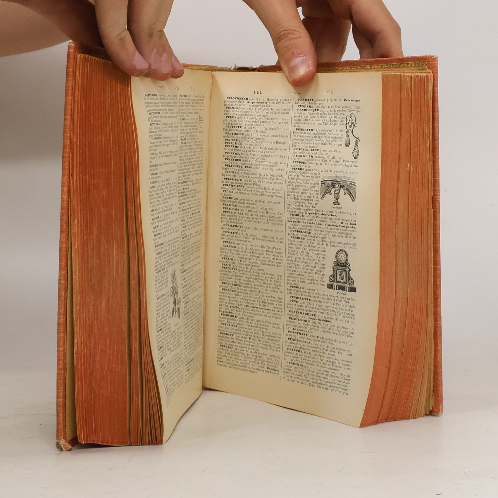 Pierre Athanase Larousse Nouveau Petit Larousse Illustre