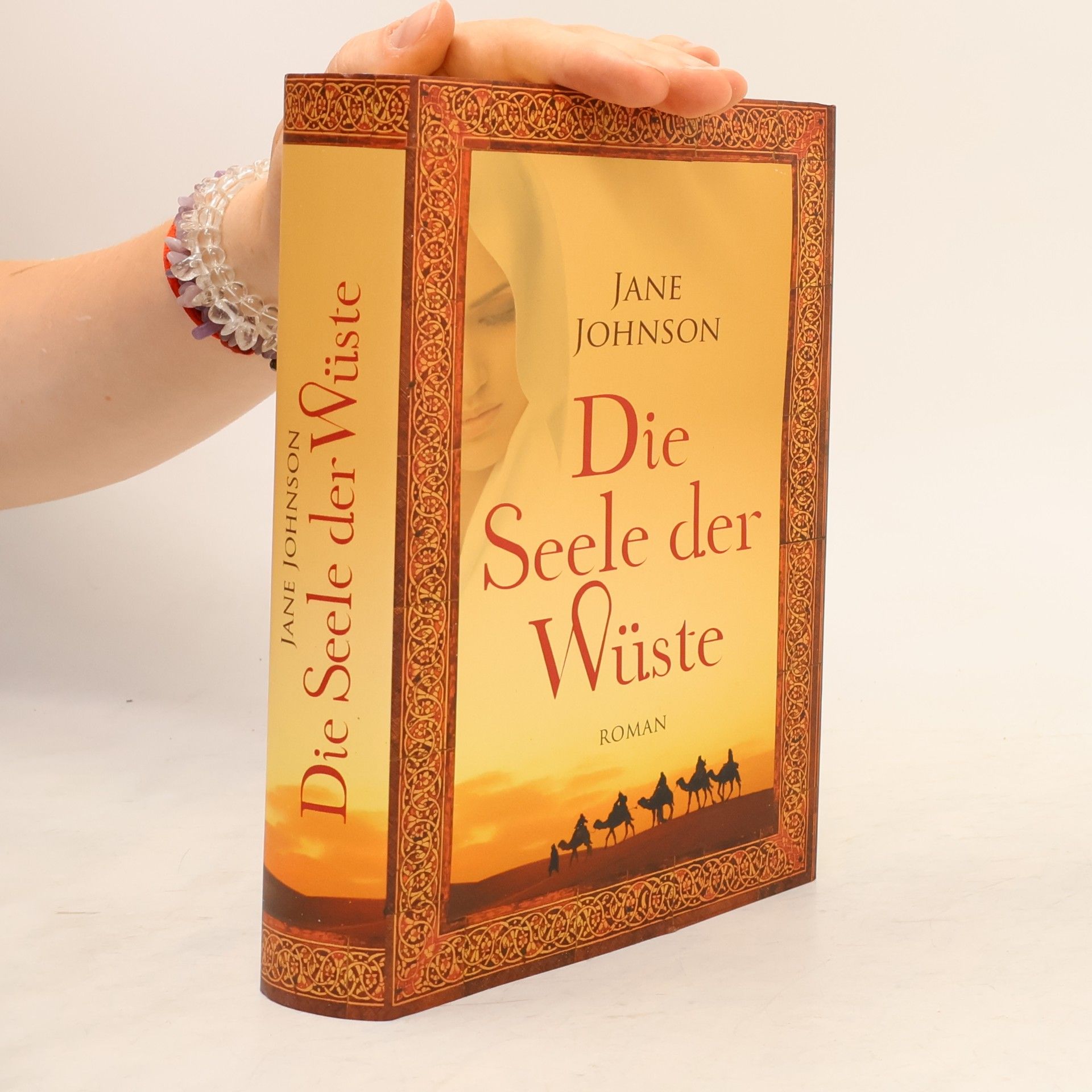 Jude Fisher Die Seele der Wüste