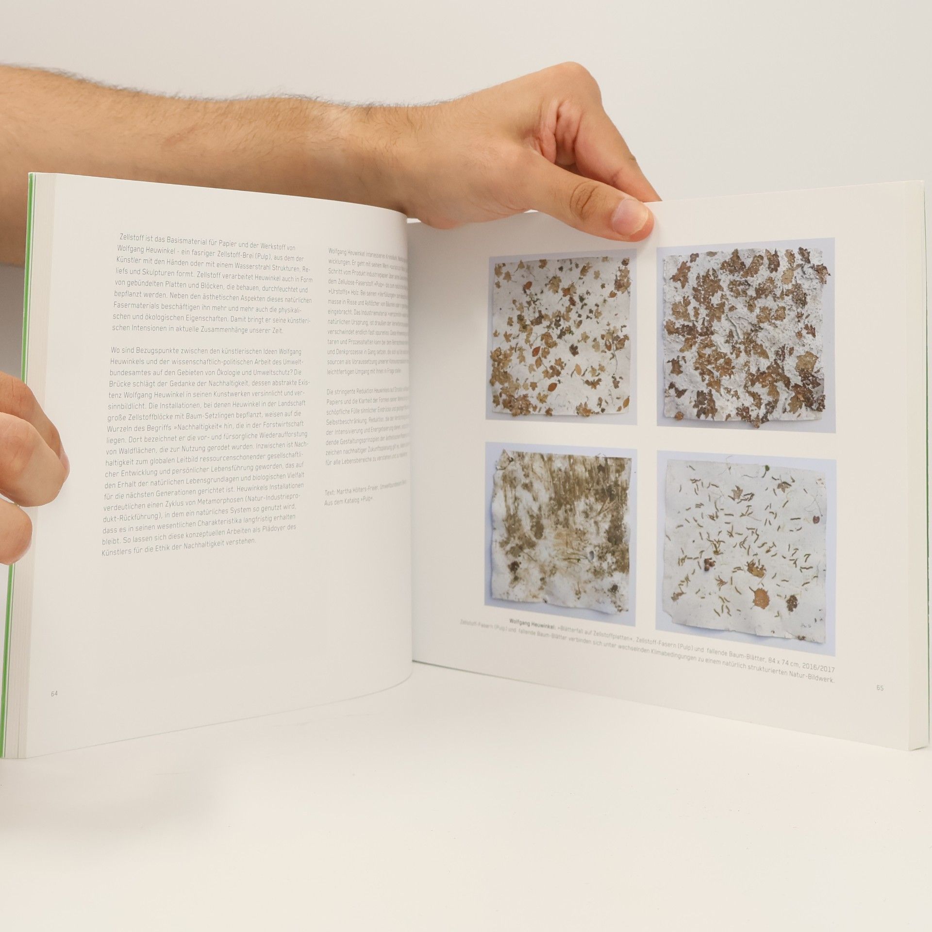 Axel Schweppe Naturliebe - erneuerbare Haltungen: Katalog zur 23. thematischen Ausstellung im Künstlerverein Walkmühle