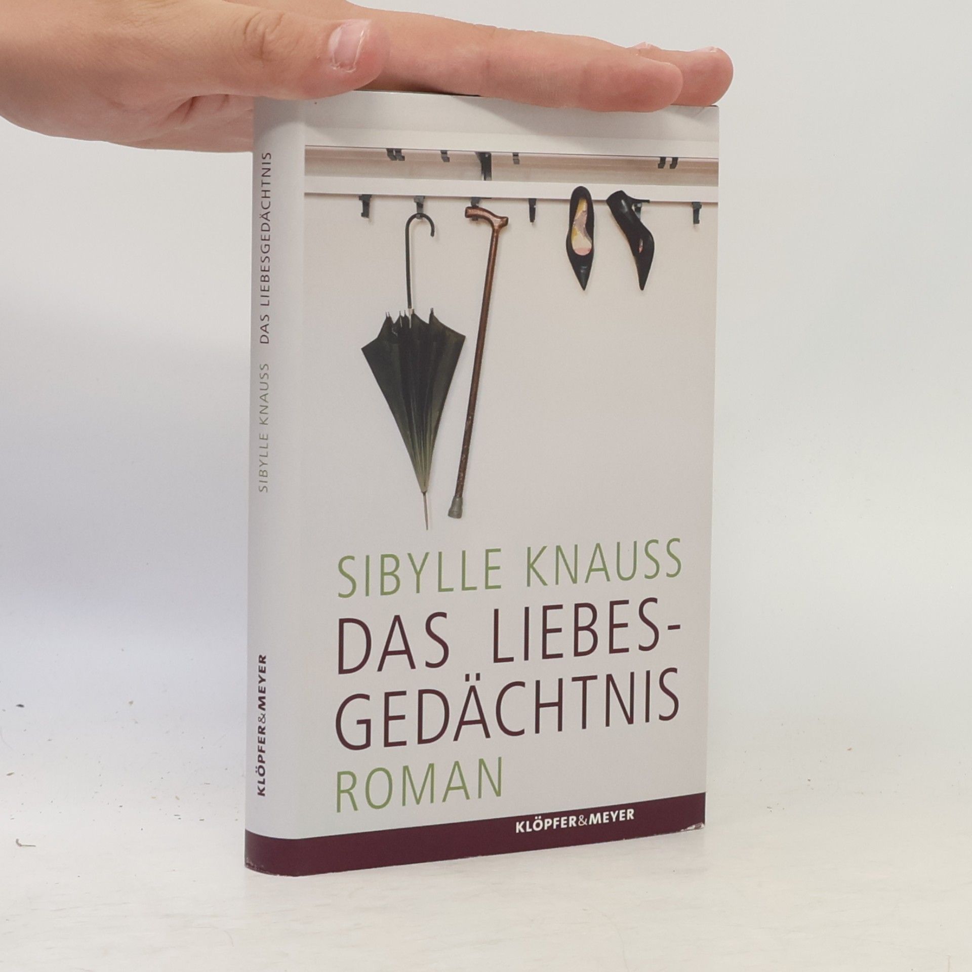 Sibylle Knauss Das Liebesgedächtnis