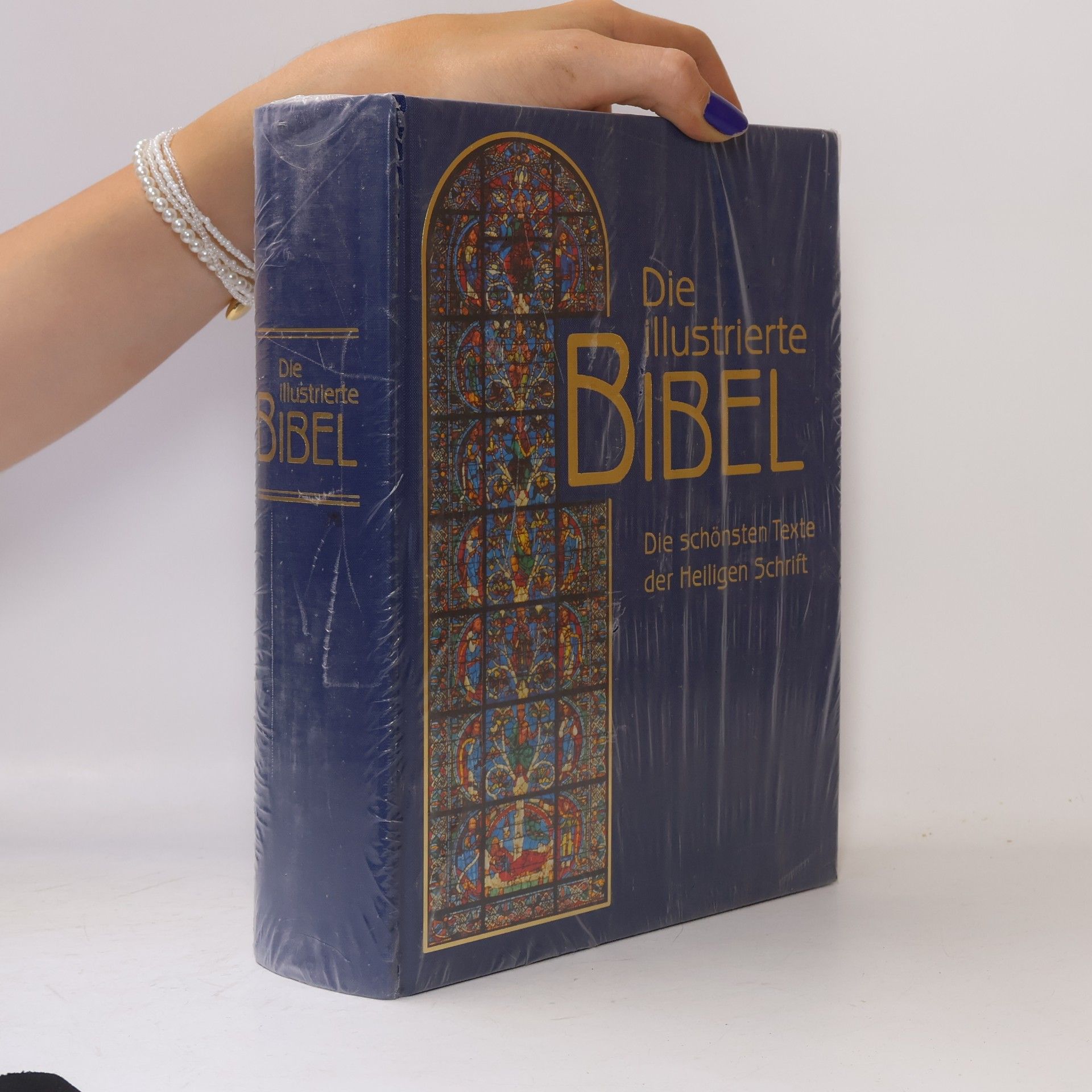 Kolektiv autorů Die illustrierte Bibel: Die schönsten Texte der Heiligen Schrift