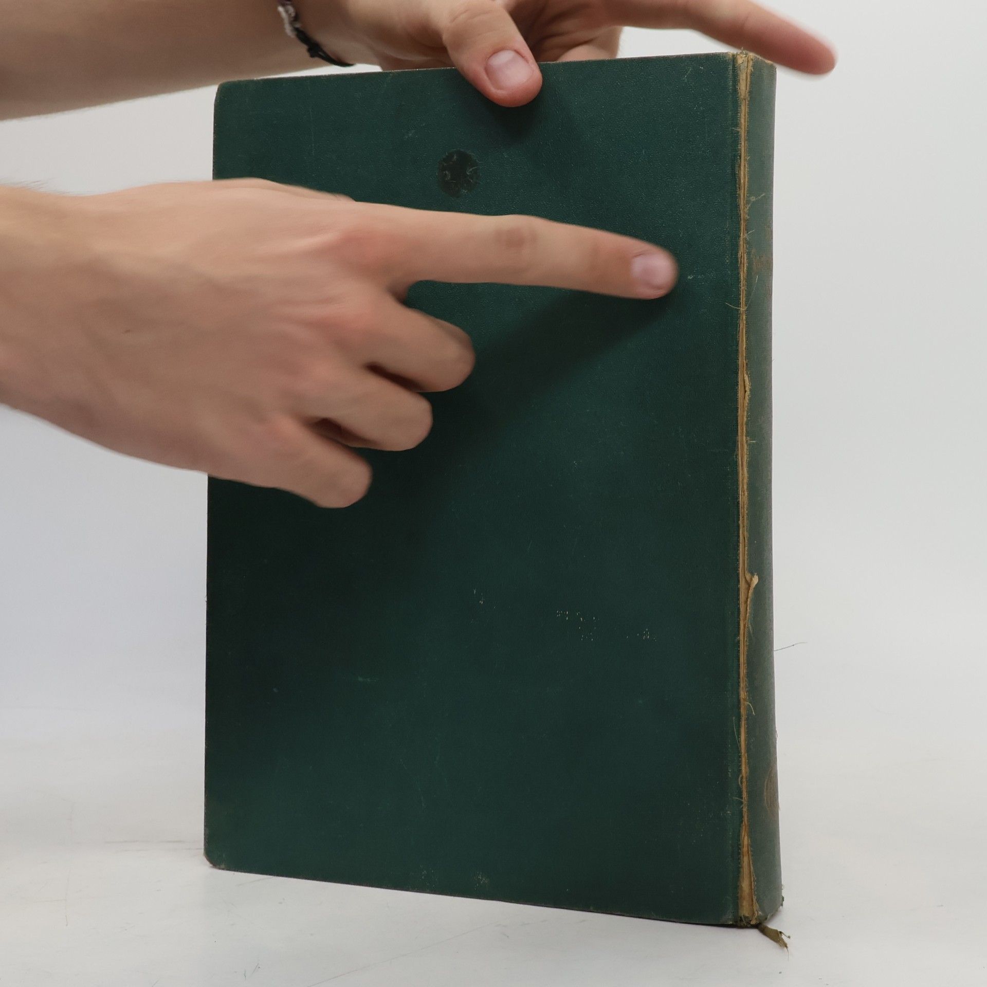Autorenkollektiv Der Gartenfreund 1931