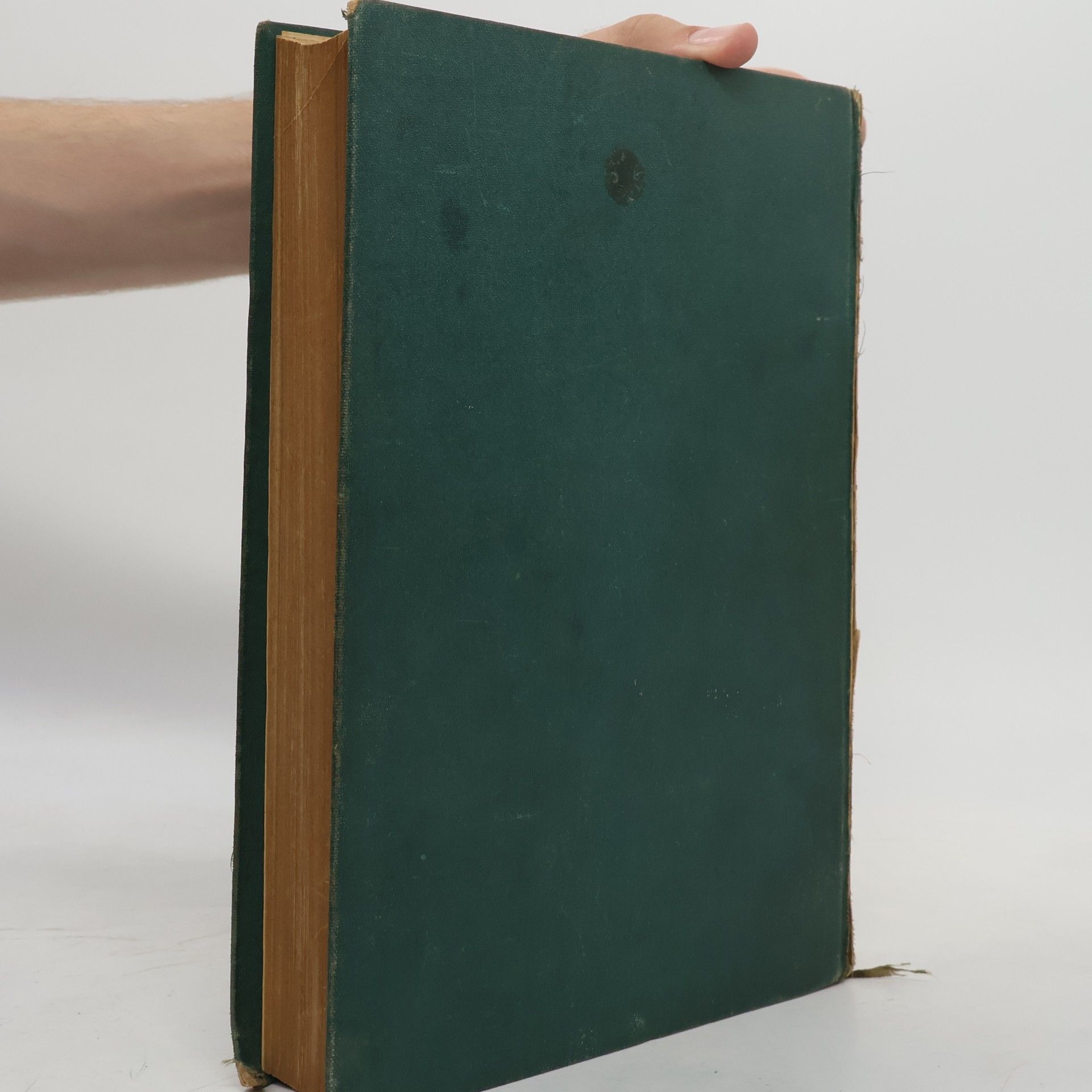 Autorenkollektiv Der Gartenfreund 1931